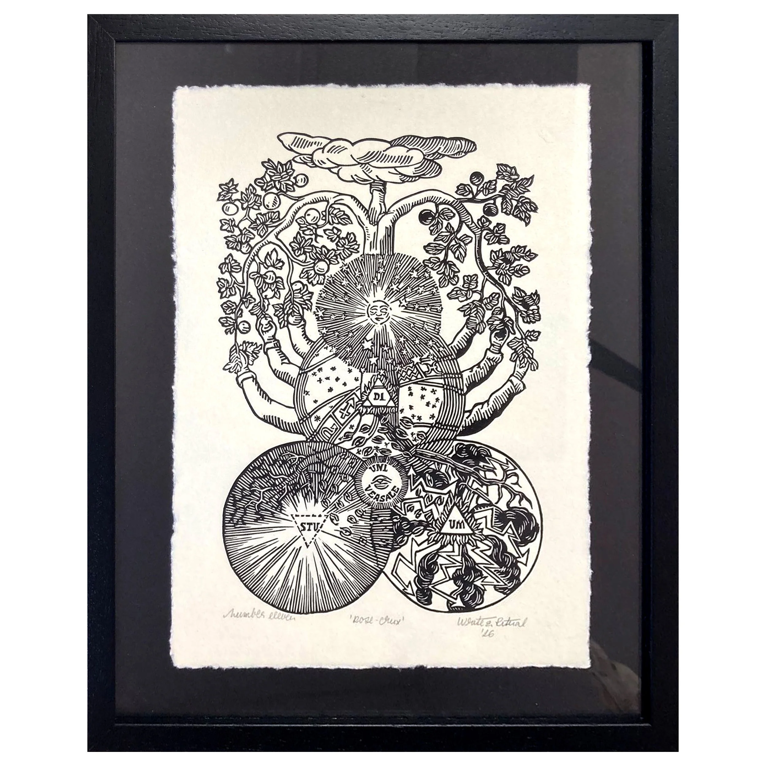 Rose-crux framed.jpg