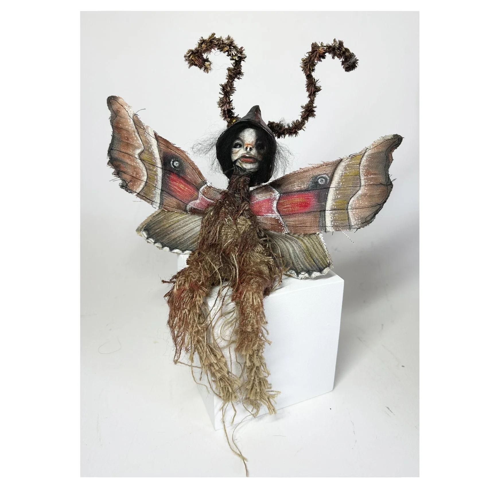 Pavonia the Emperor Moth
