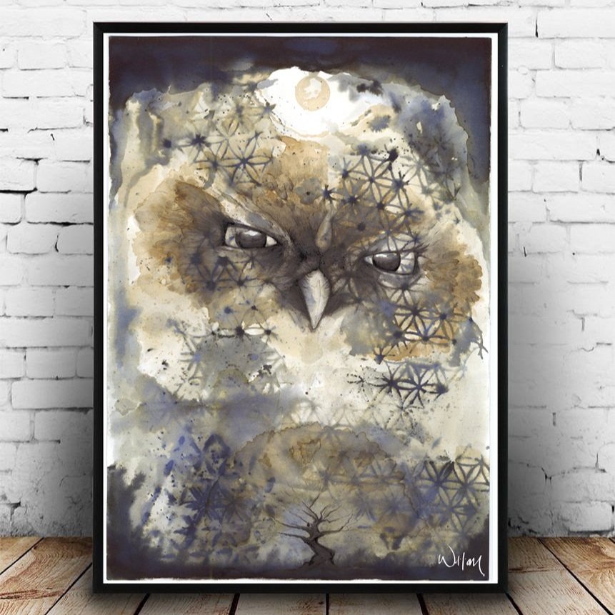 Owl