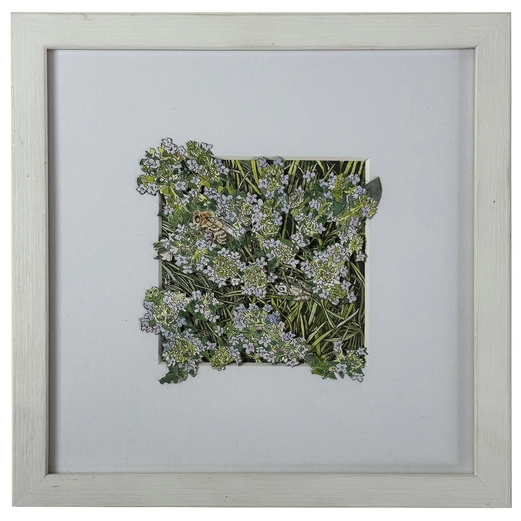 keelie hamer froglet and thyme.jpg