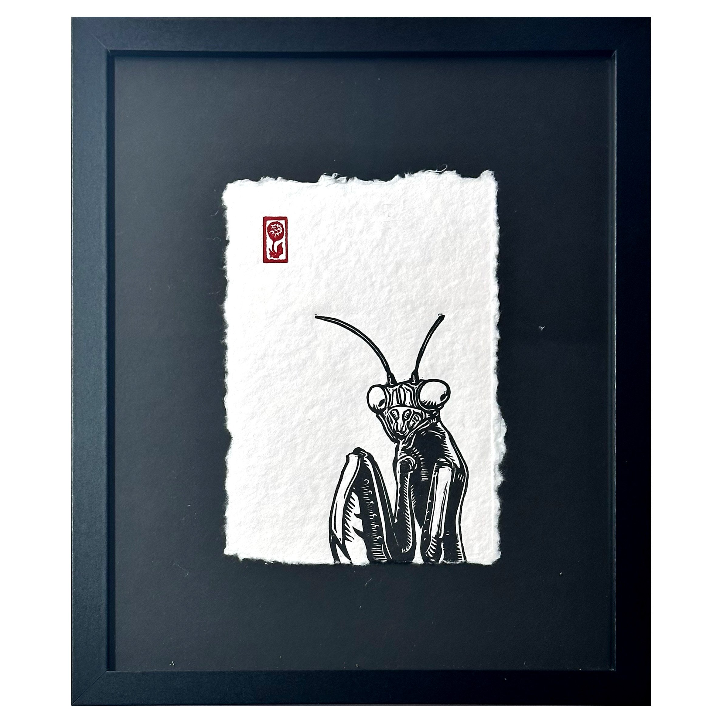 Praying Mantis (framed)