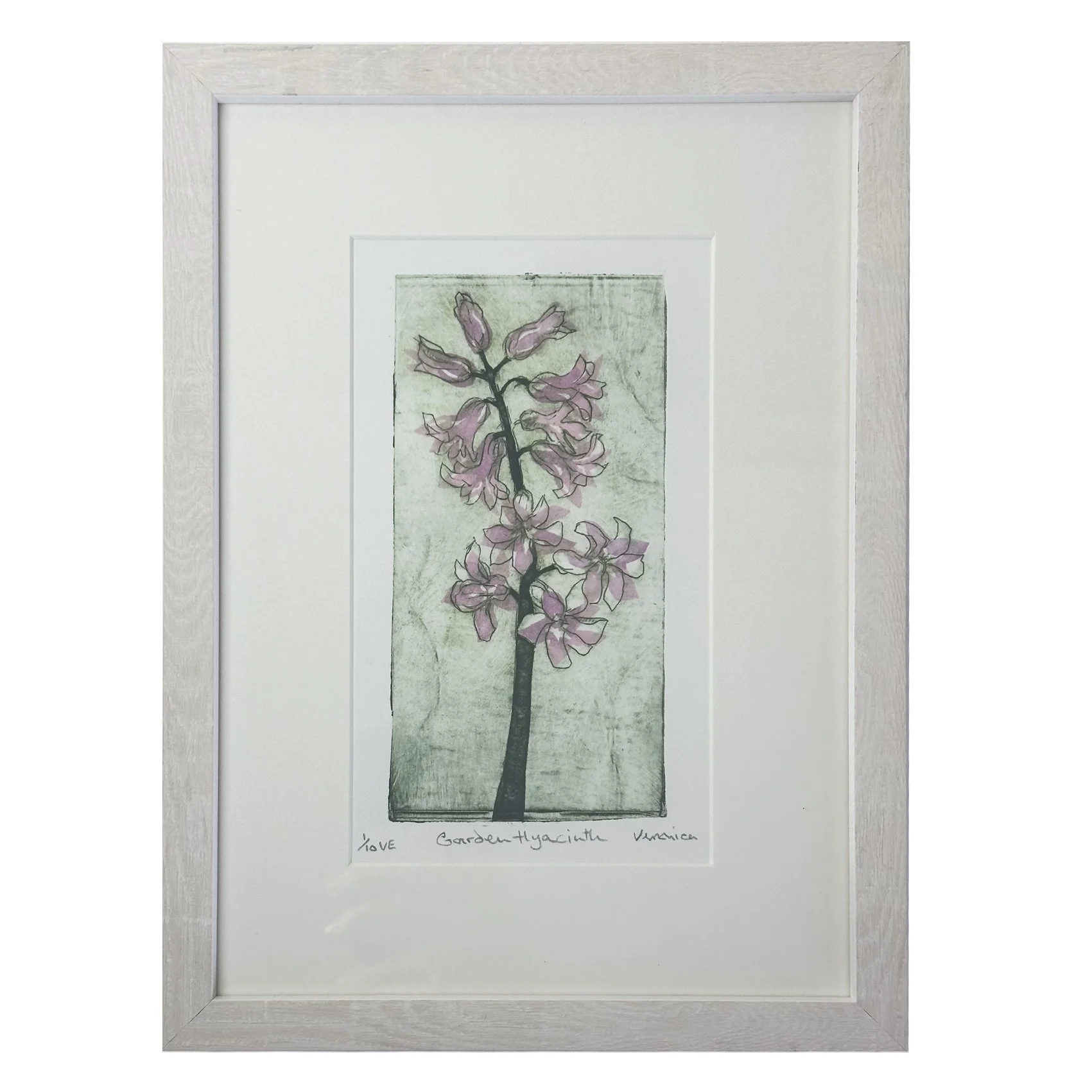 Garden Hyacinth (framed)