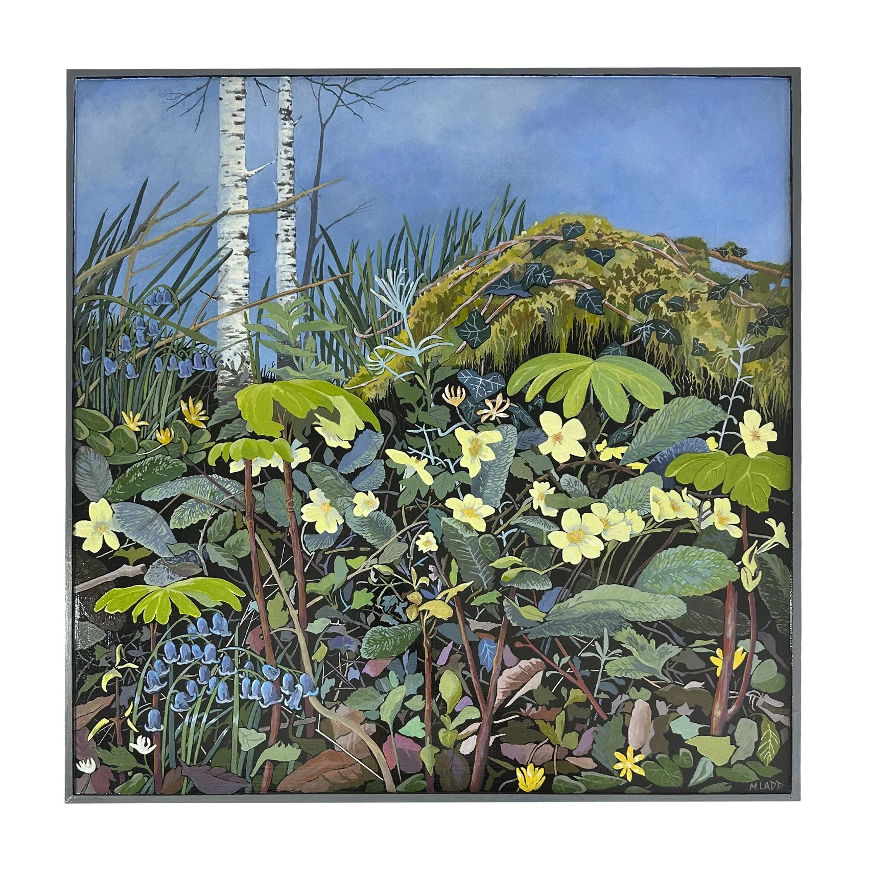 Saplings