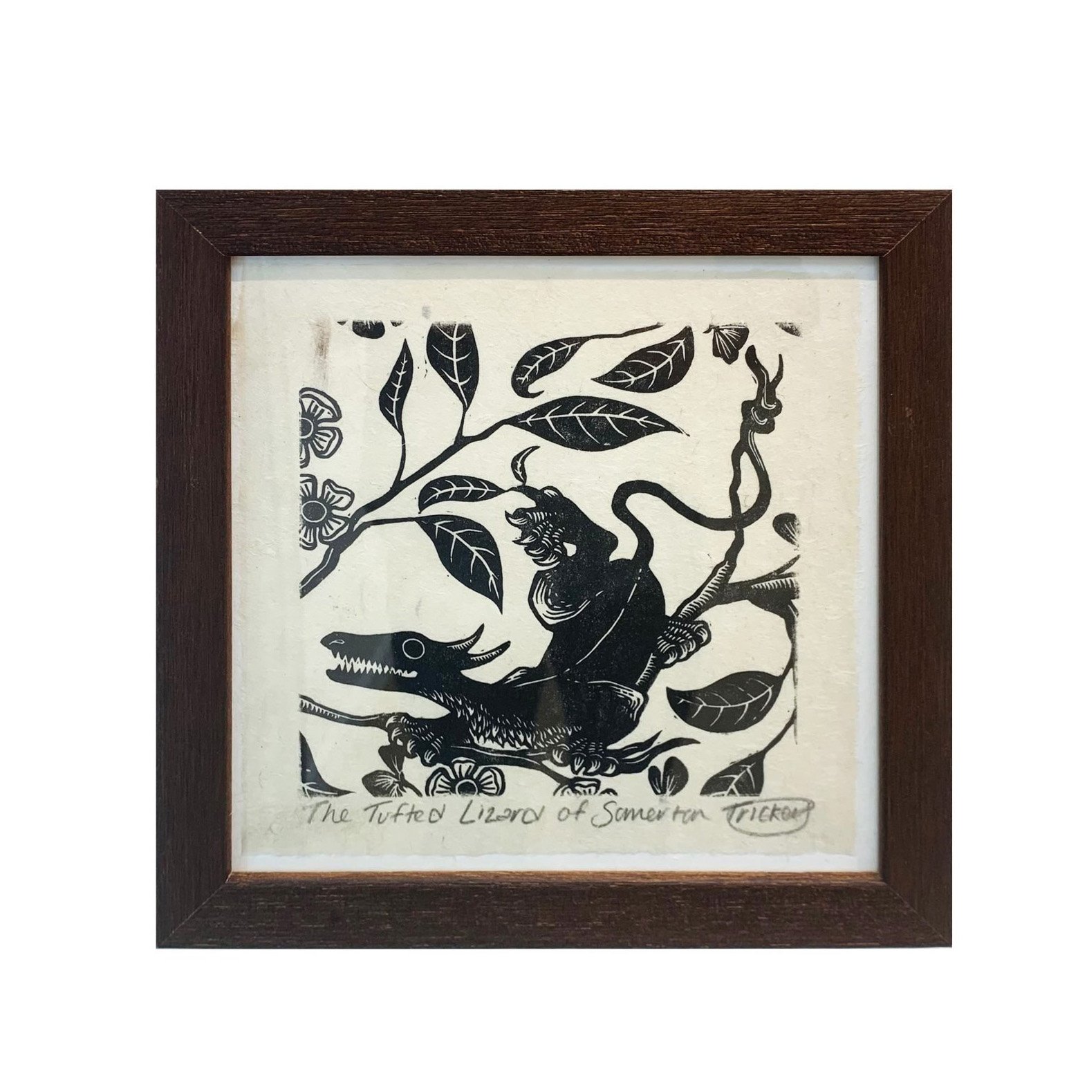 Tufted Lizard Of Somerton (framed)