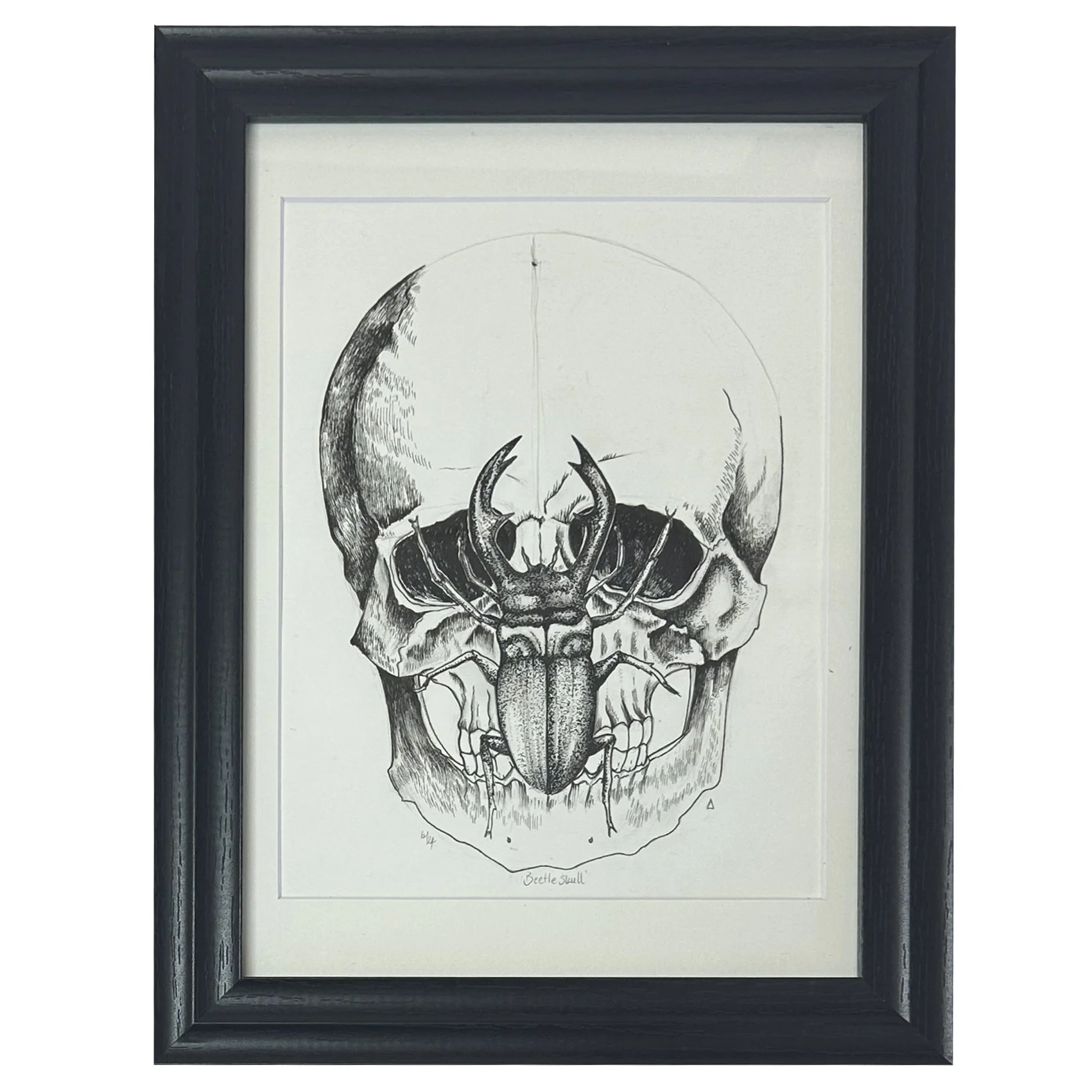 Skull and Beatle (framed)