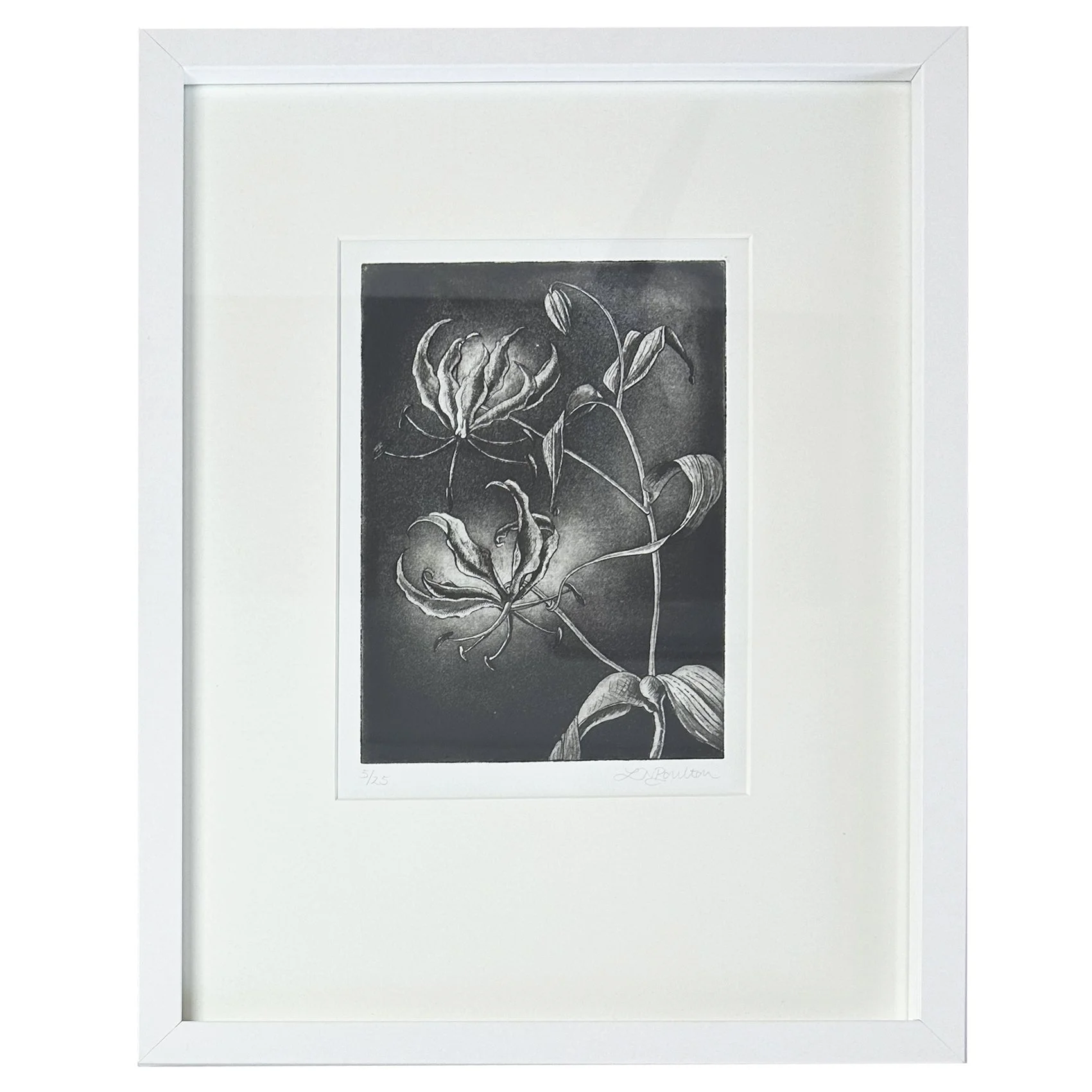 Gloriosa Lily (unframed)