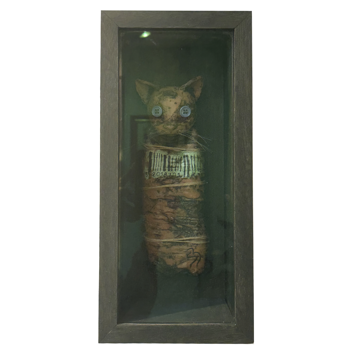 Mummified sleeping cat