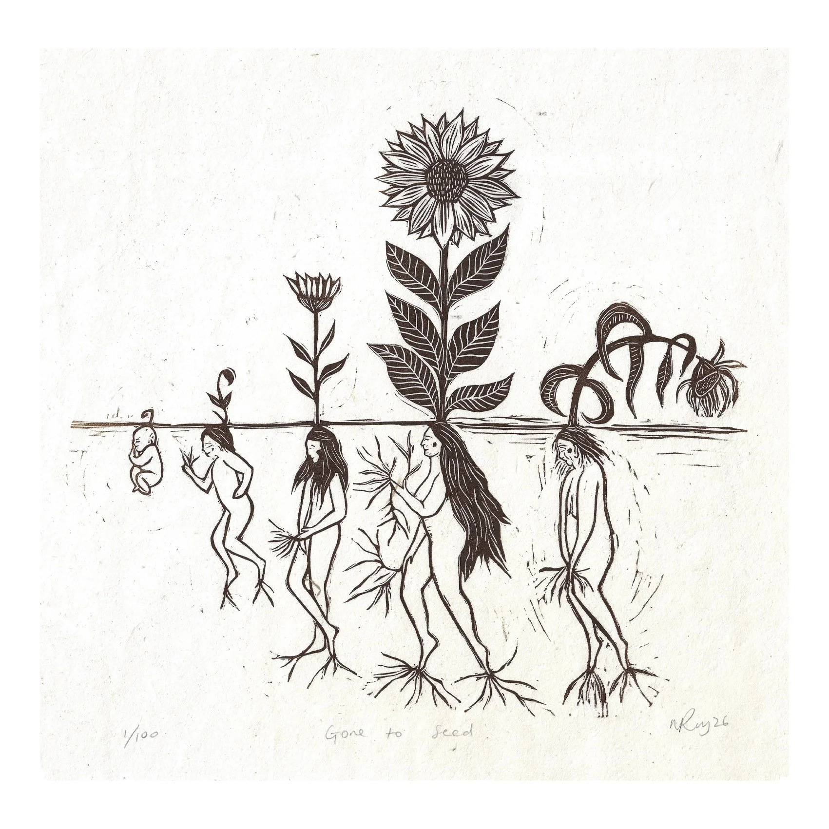 Gone To Seed (unframed)