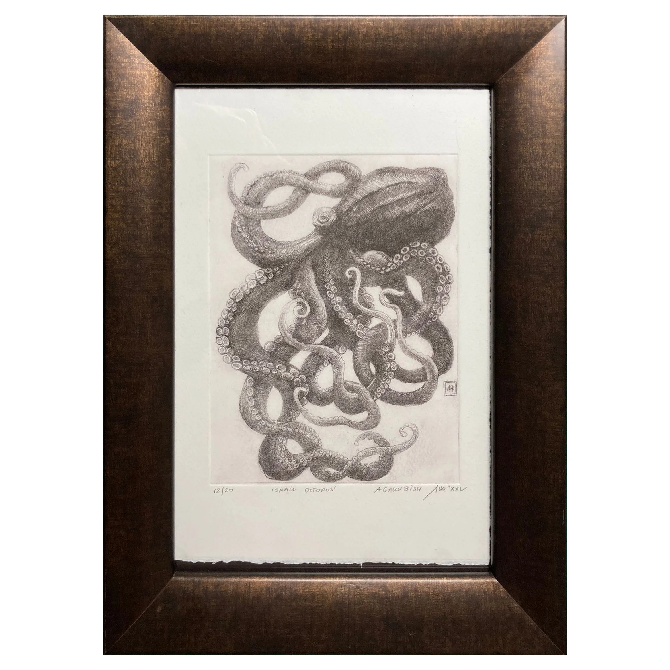 Small octopus framed.jpg