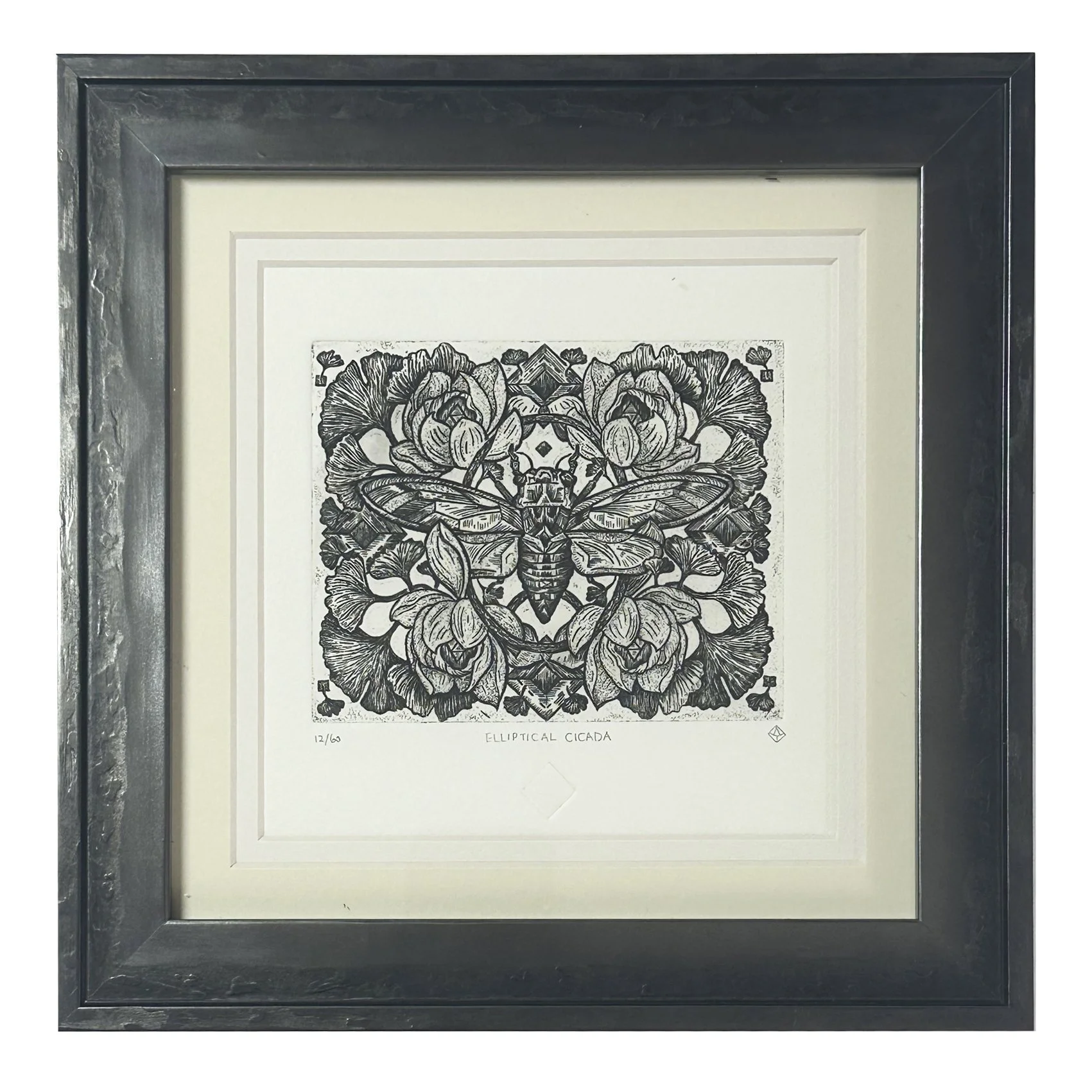 Elliptical Cicada (framed)
