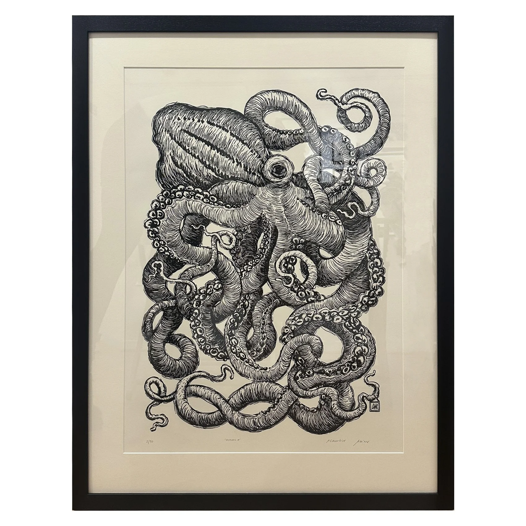 octopus 3.jpg