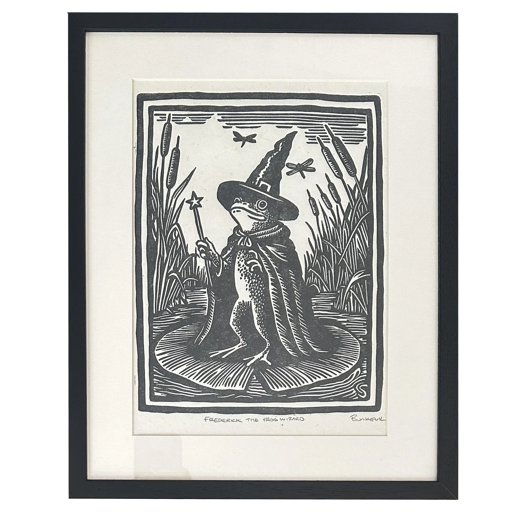 Frederick the Frog Wizzard (framed)