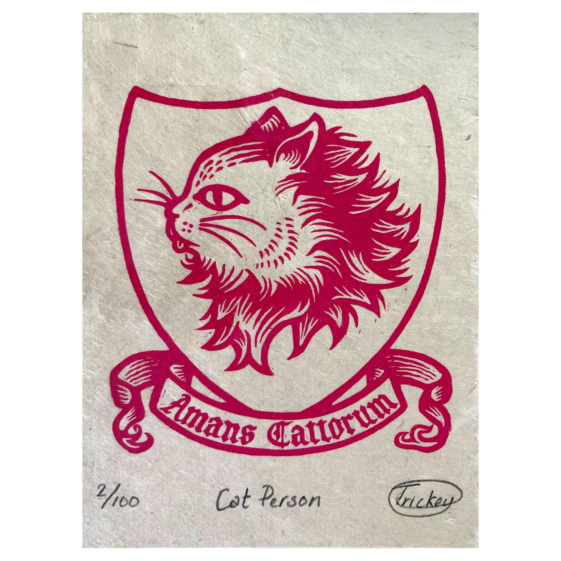 Cat Person Pink (unframed).jpg