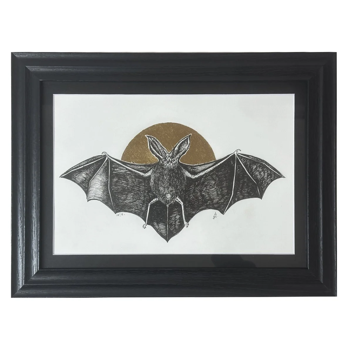 Horseshoe Bat (framed)
