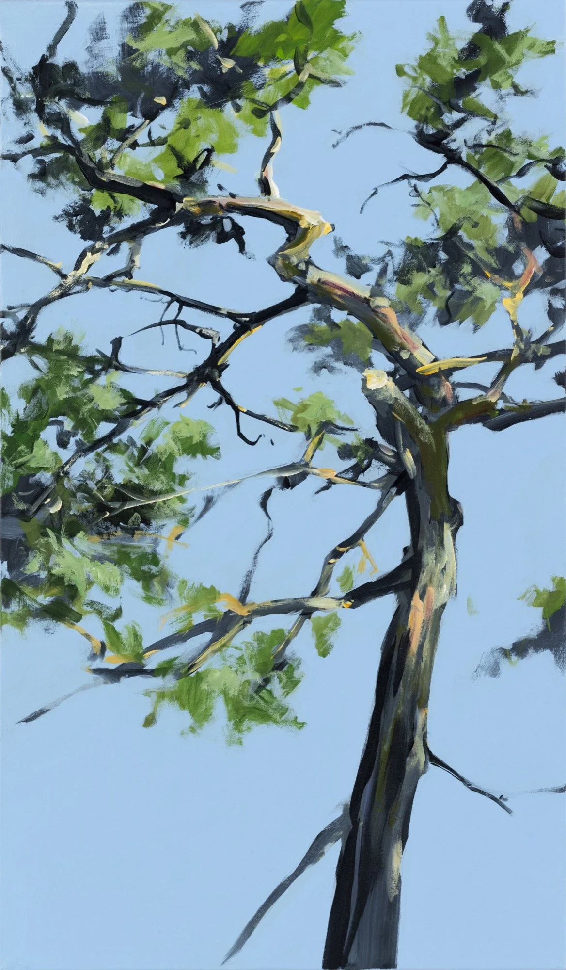 2273H24,120 x 70, .jpg