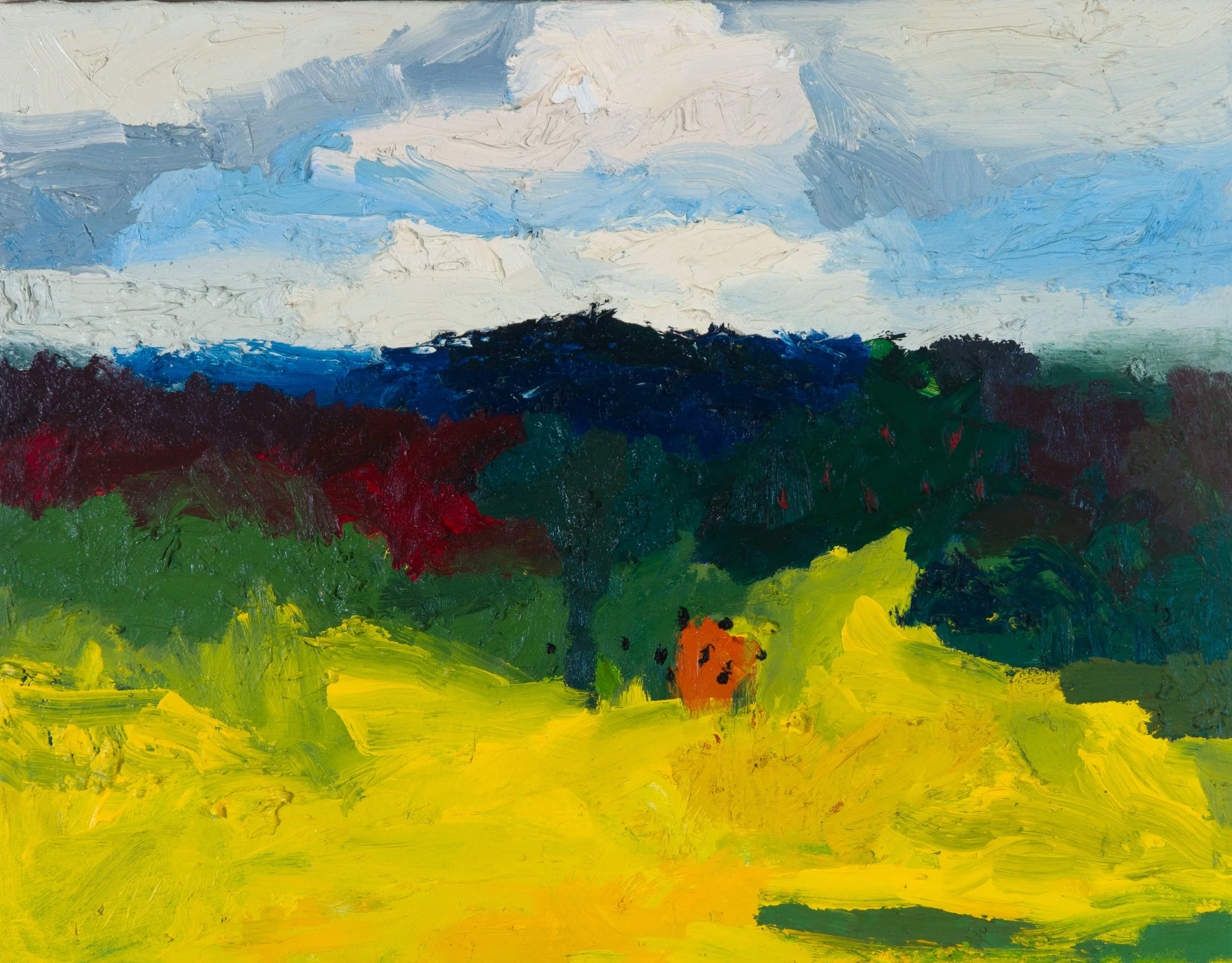 Bernhard Maria Fuchs