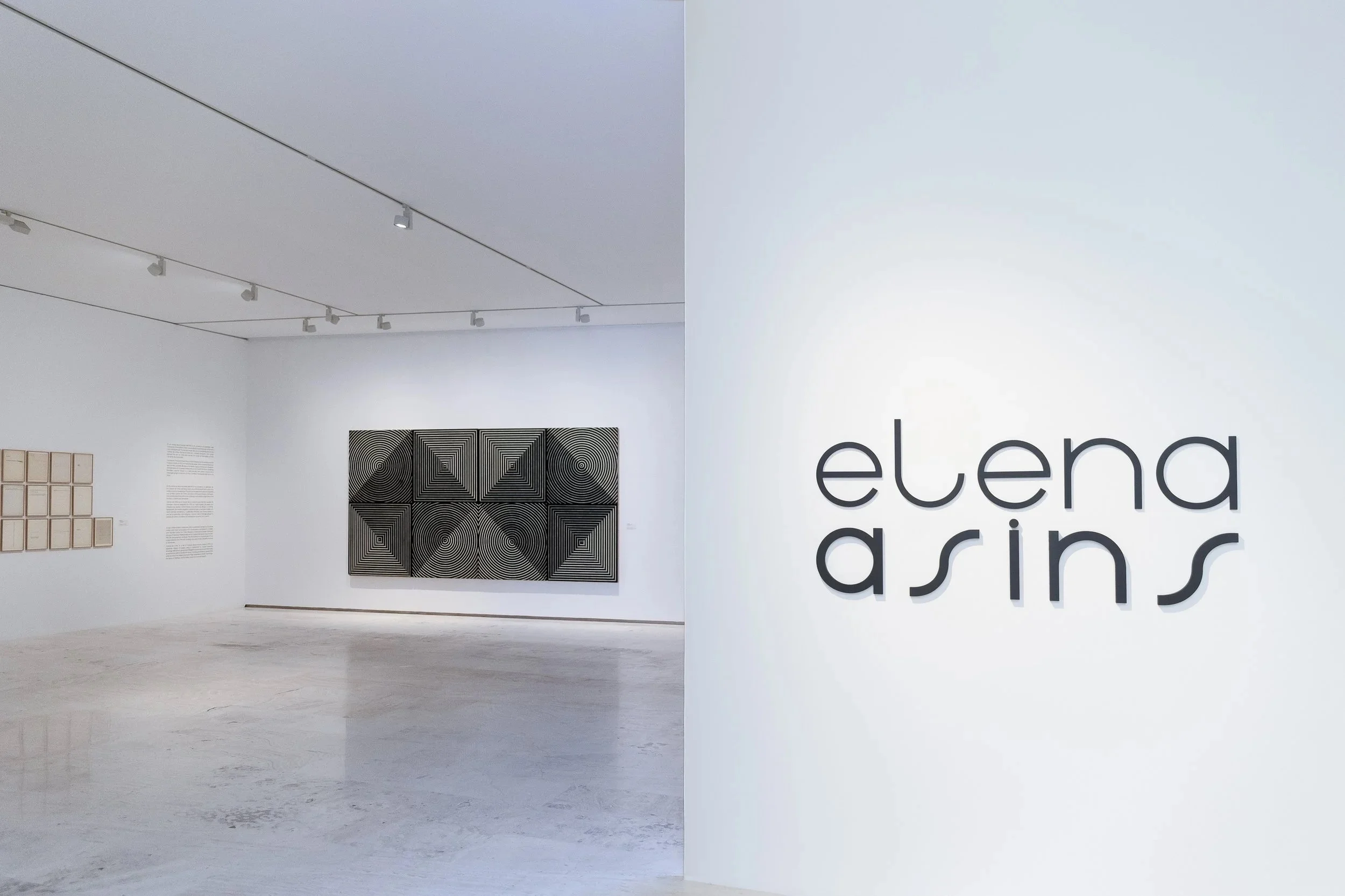 Elena Asins in Alicante