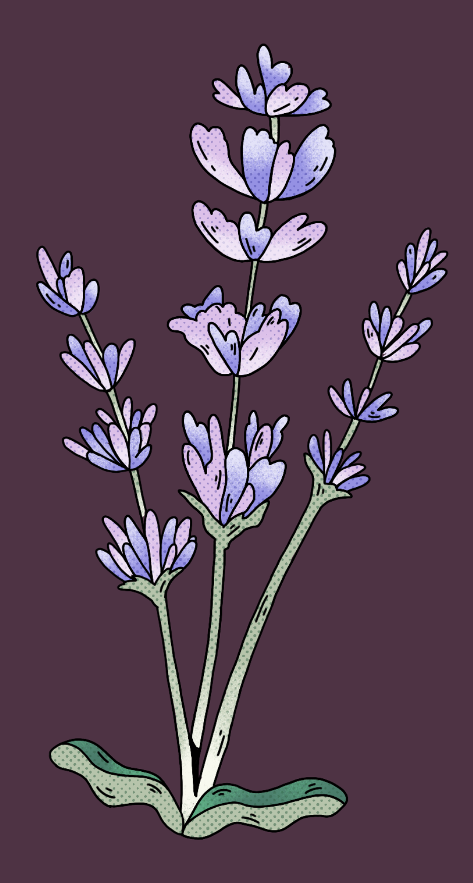 Core Support Therapies with Claudia Gridelli based in Berkshire