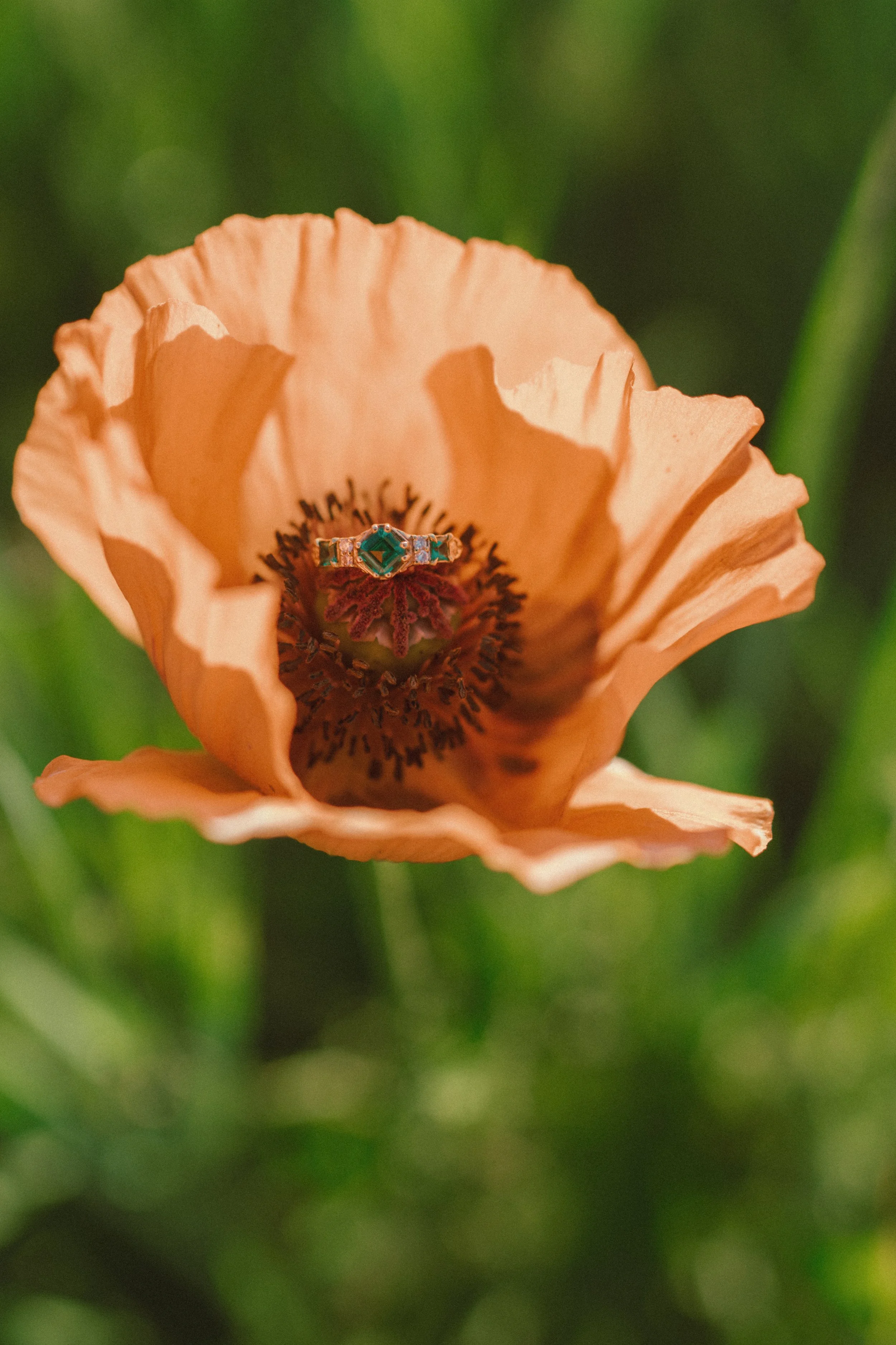 DenverEngagementPhotography-8.jpg