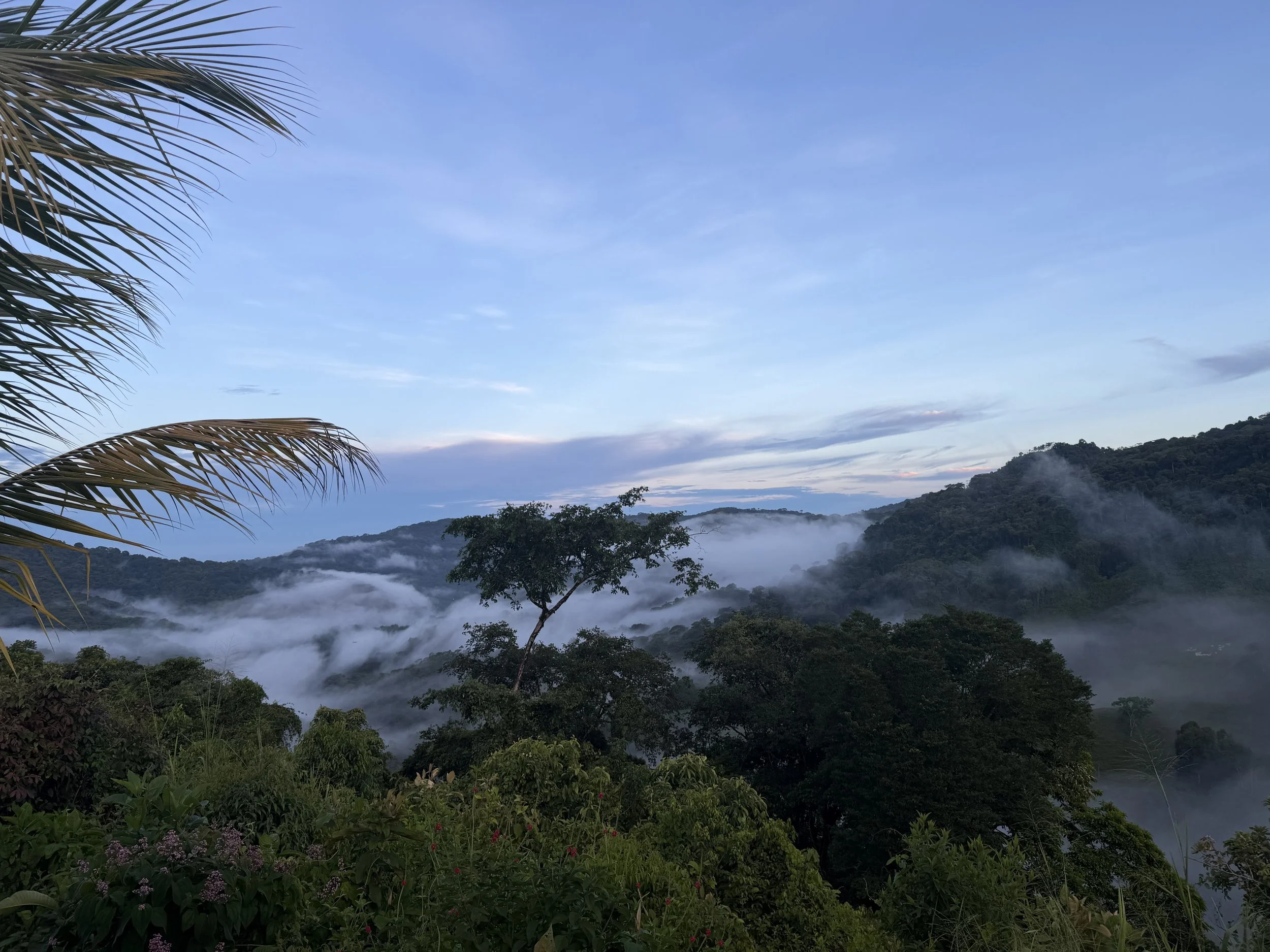 Seeking Shelter On A Costa Rican Mountain