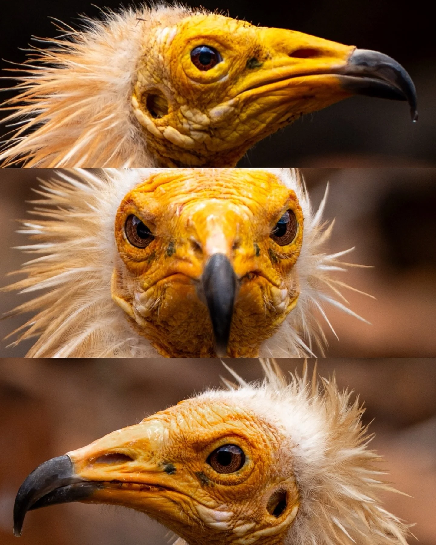 What are you looking at?!