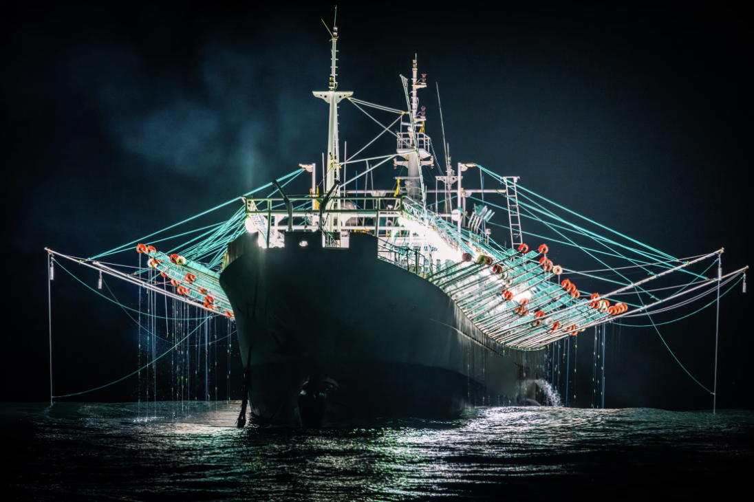 ‘Mad fishing’: the super-size fleet of squid catchers plundering the high seas