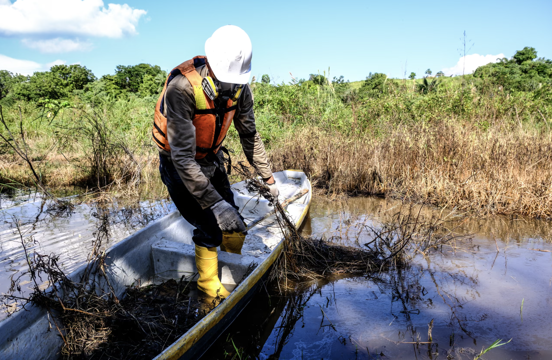 ‘If we see you again, we kill you’: how a Colombian wildlife hotspot turned into a death zone