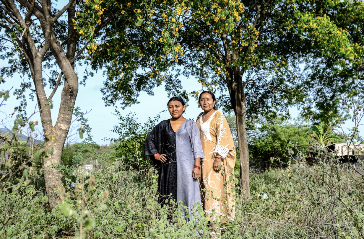 First there were coalmines, then came the windfarms. Why Colombia’s Wayúu people fear Colombia’s green energy boom
