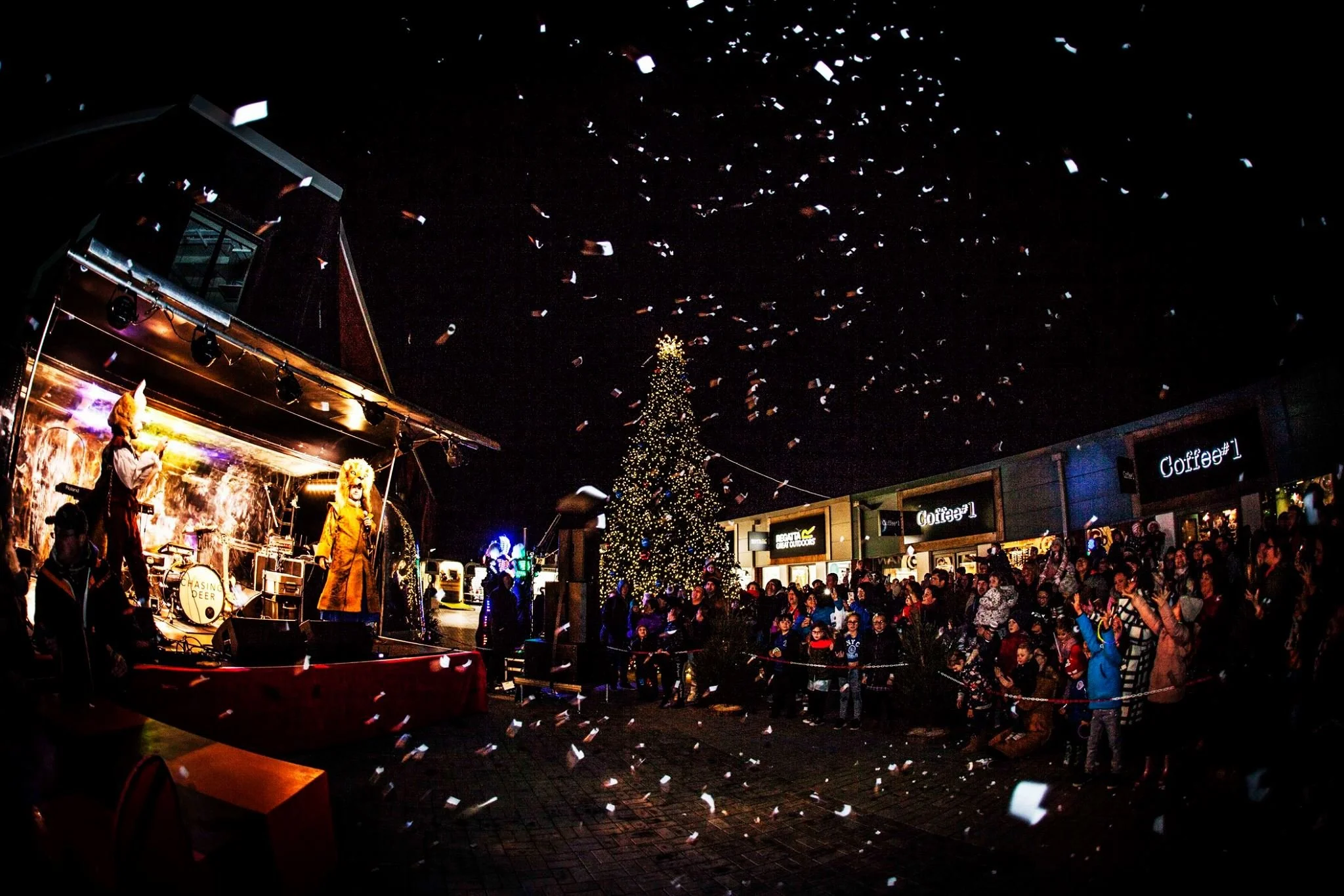 Christmas Light Switch On 