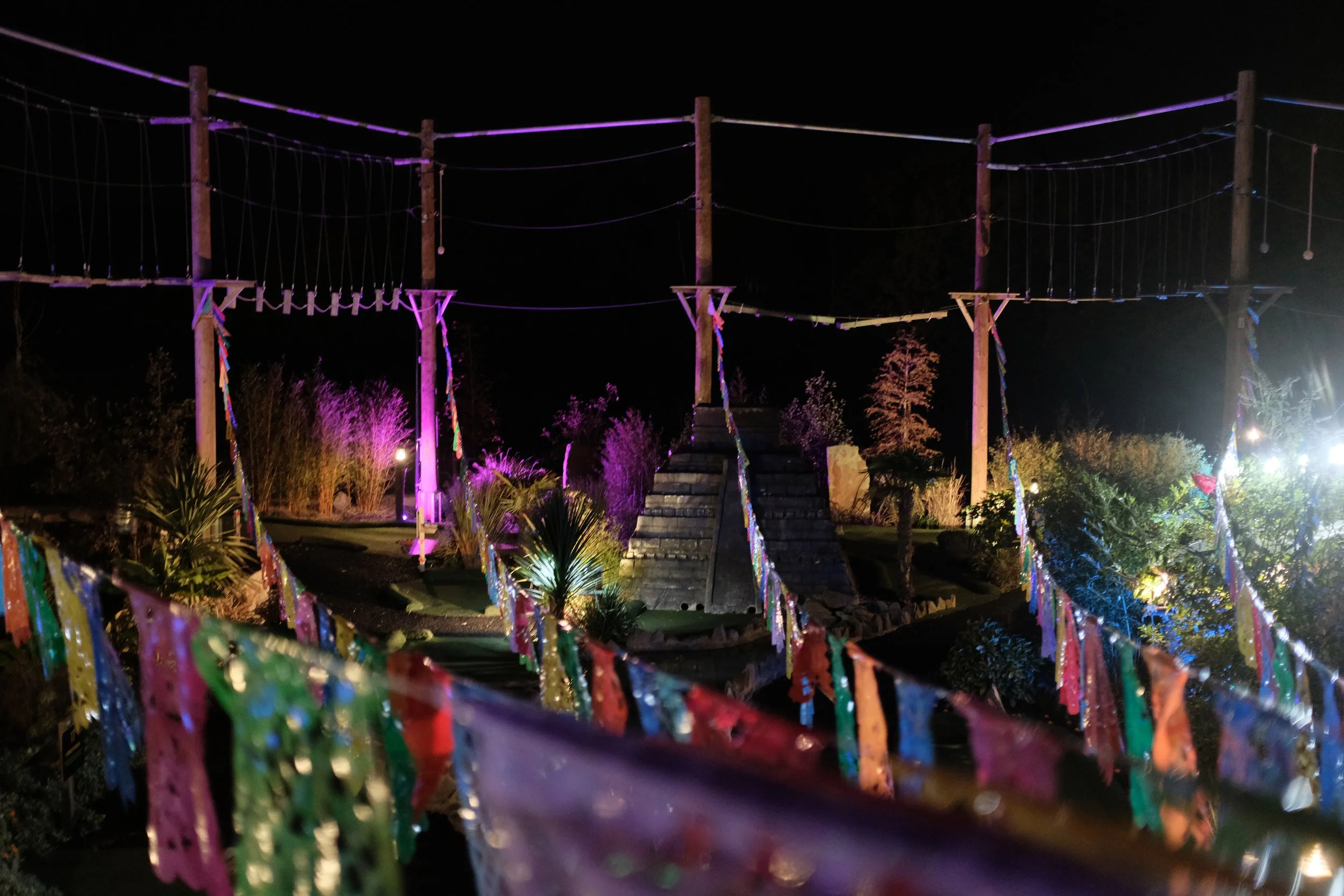 Neon Heights: Nighttime High Ropes Adventure