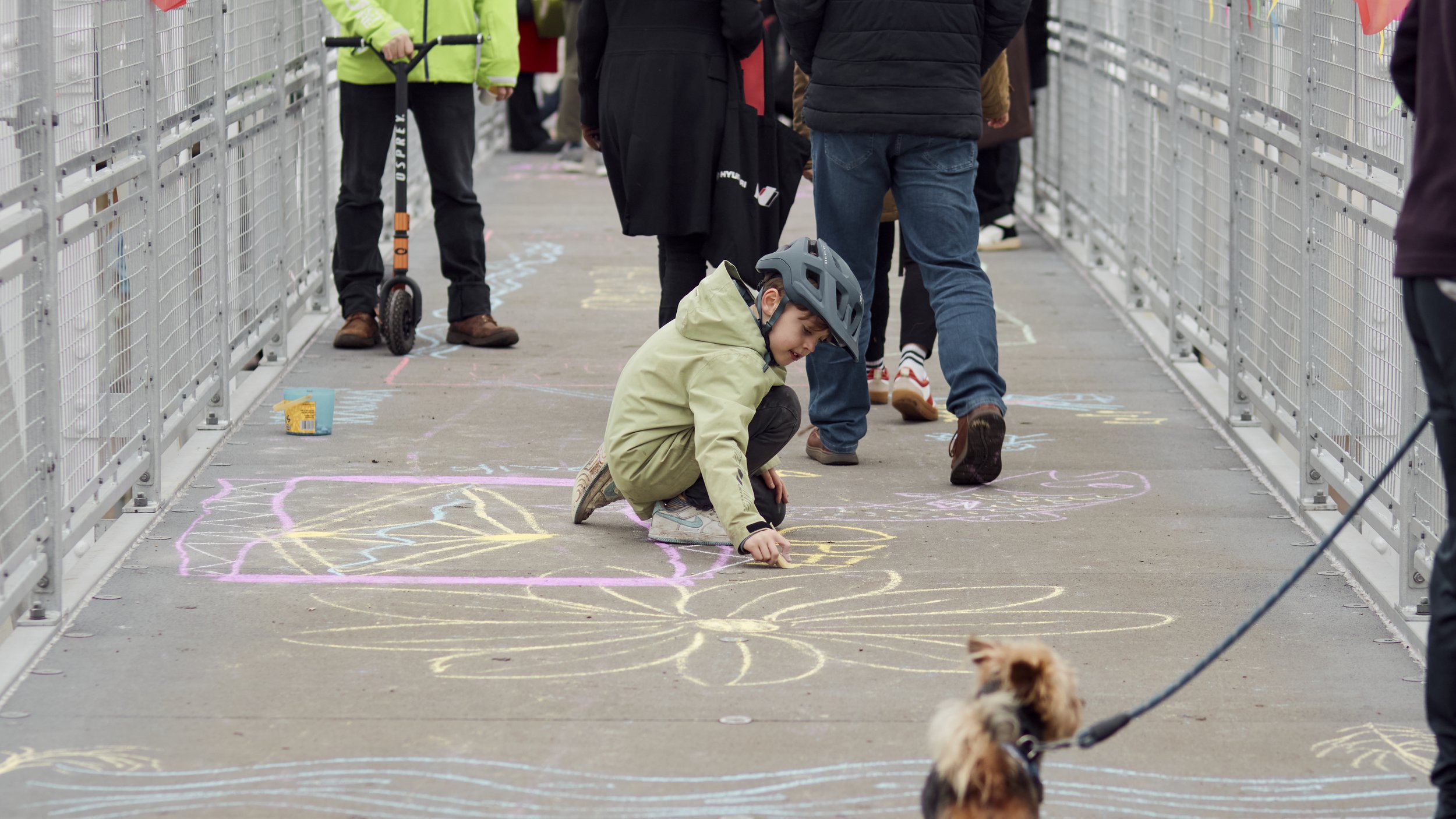 1 February 2025 at 16:22IMG_3210Feb 01 2025.jpg