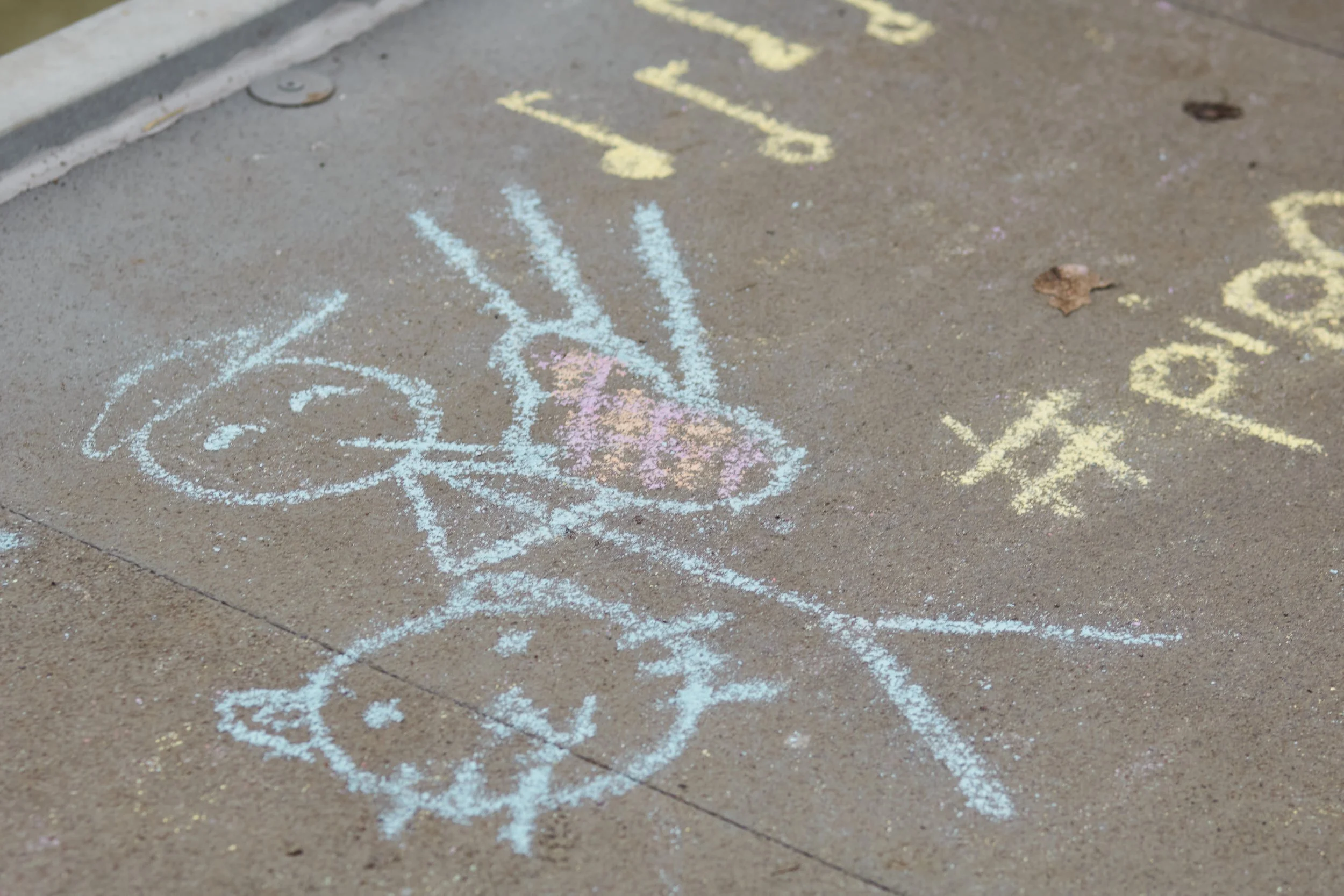 1 February 2025 at 16:22IMG_3315Feb 01 2025.jpg