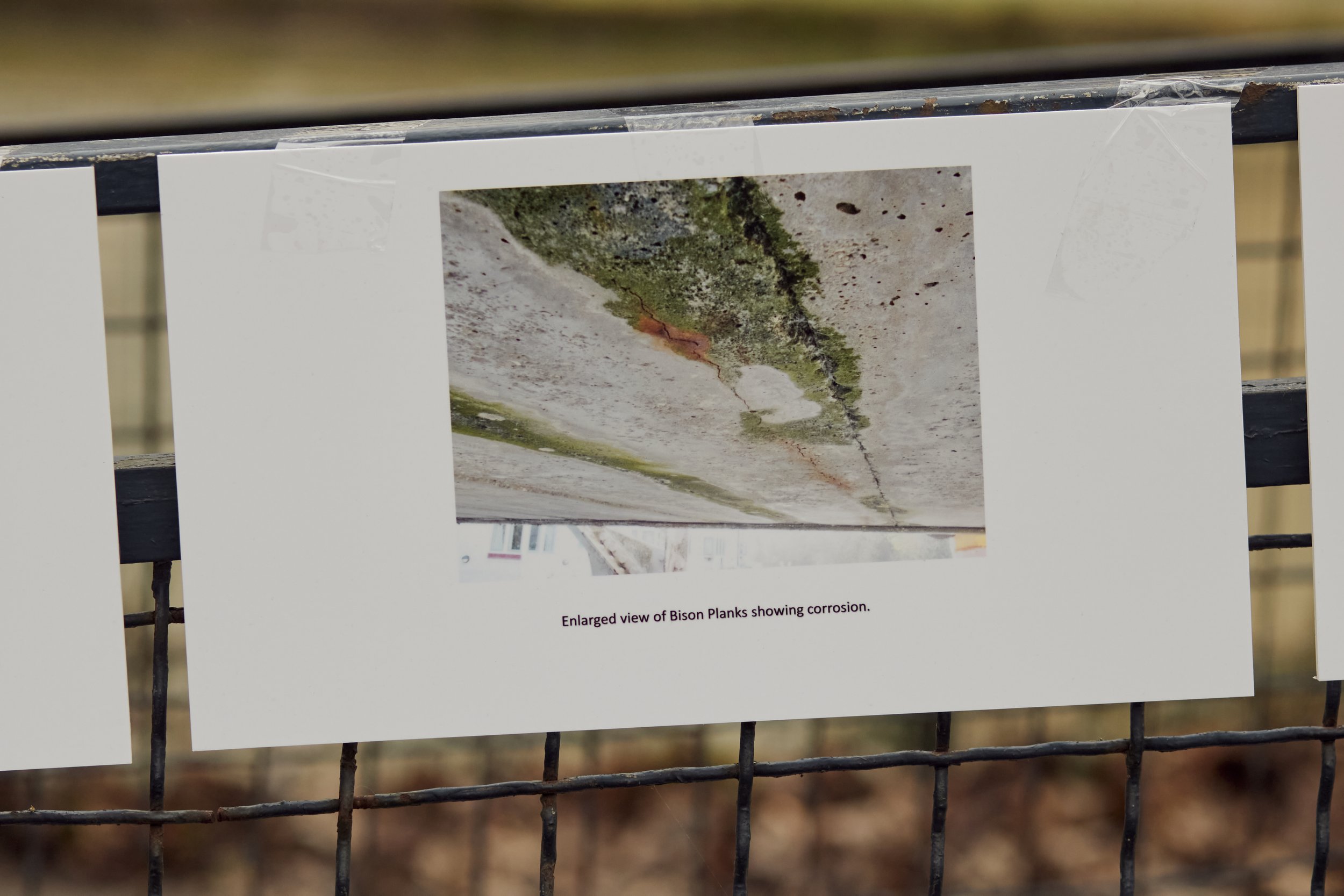 1 February 2025 at 16:22IMG_3368Feb 01 2025.jpg