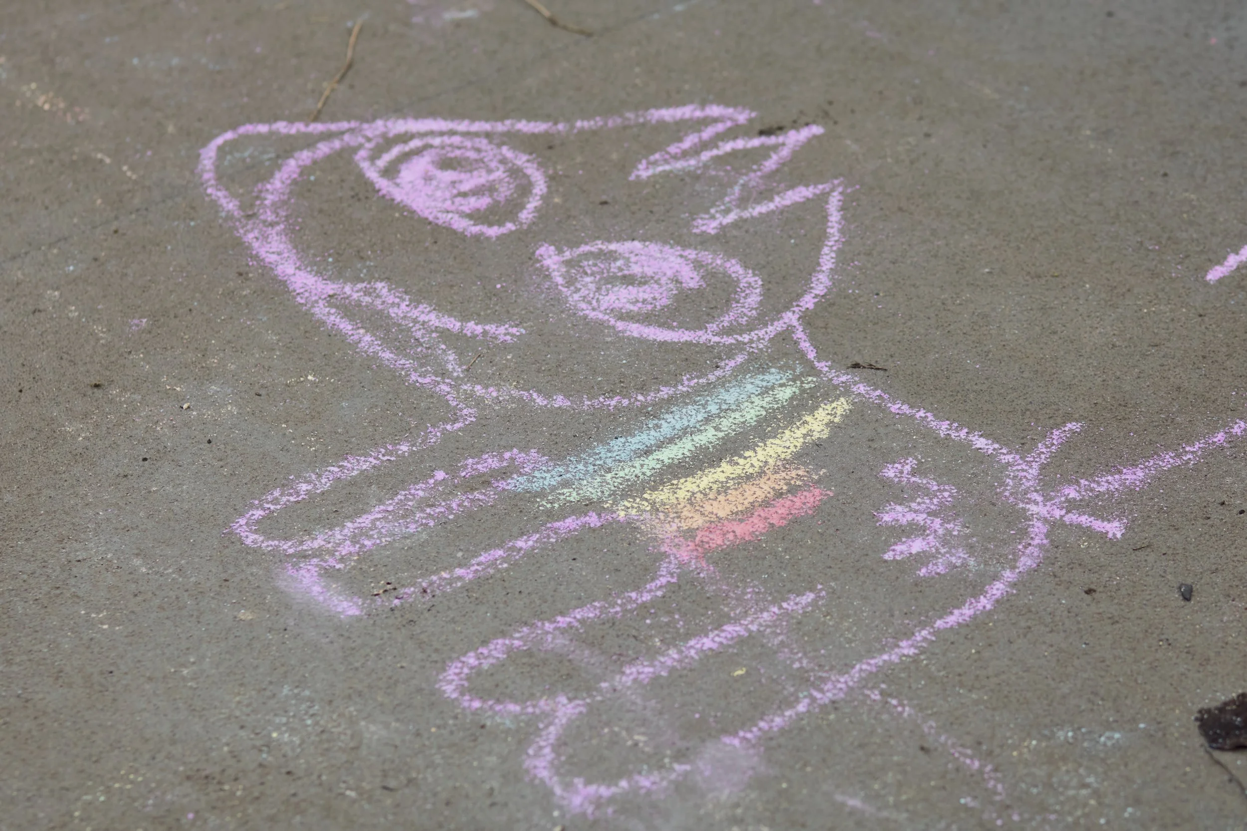 1 February 2025 at 16:22IMG_3225Feb 01 2025.jpg