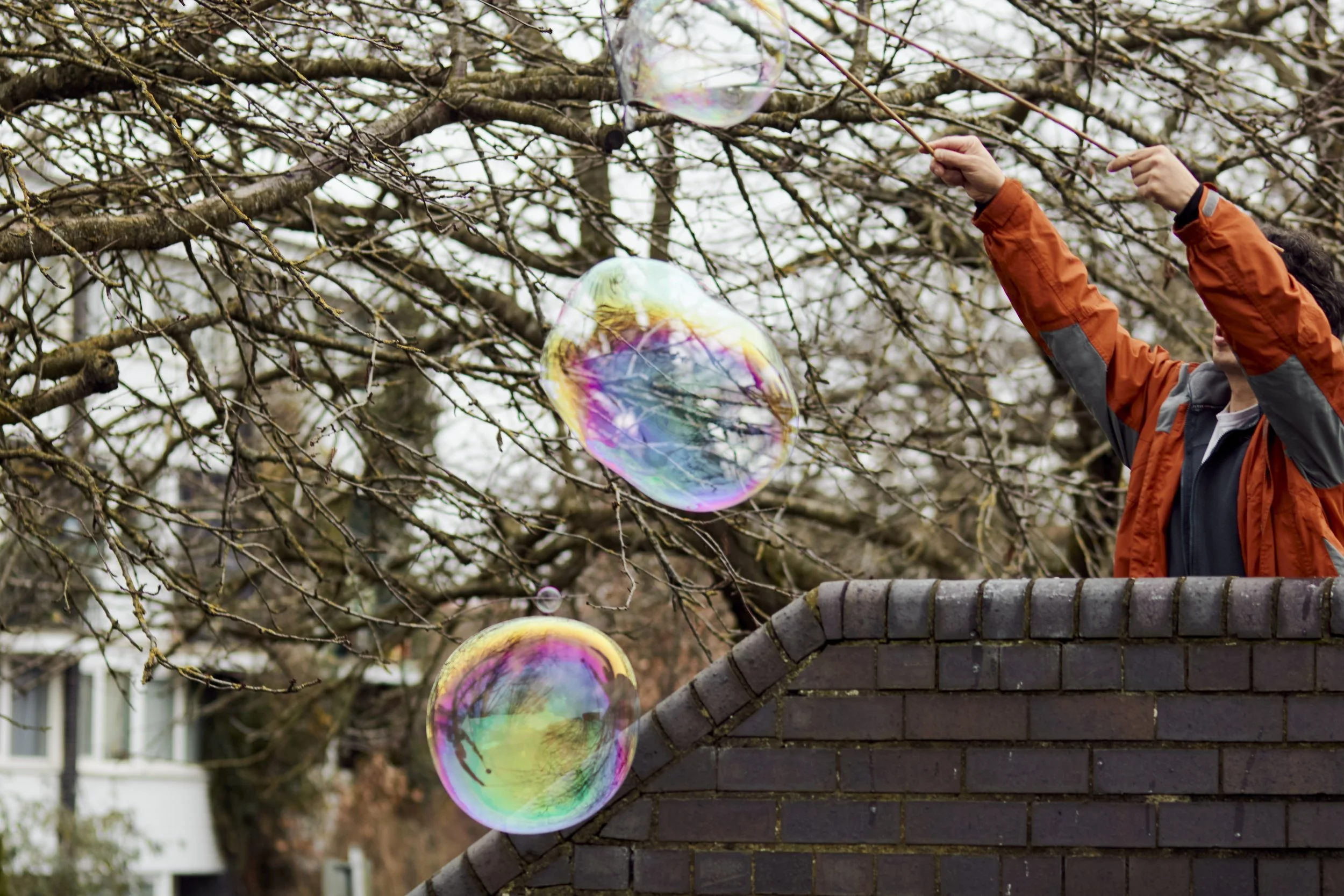 1 February 2025 at 16:22IMG_3242Feb 01 2025.jpg