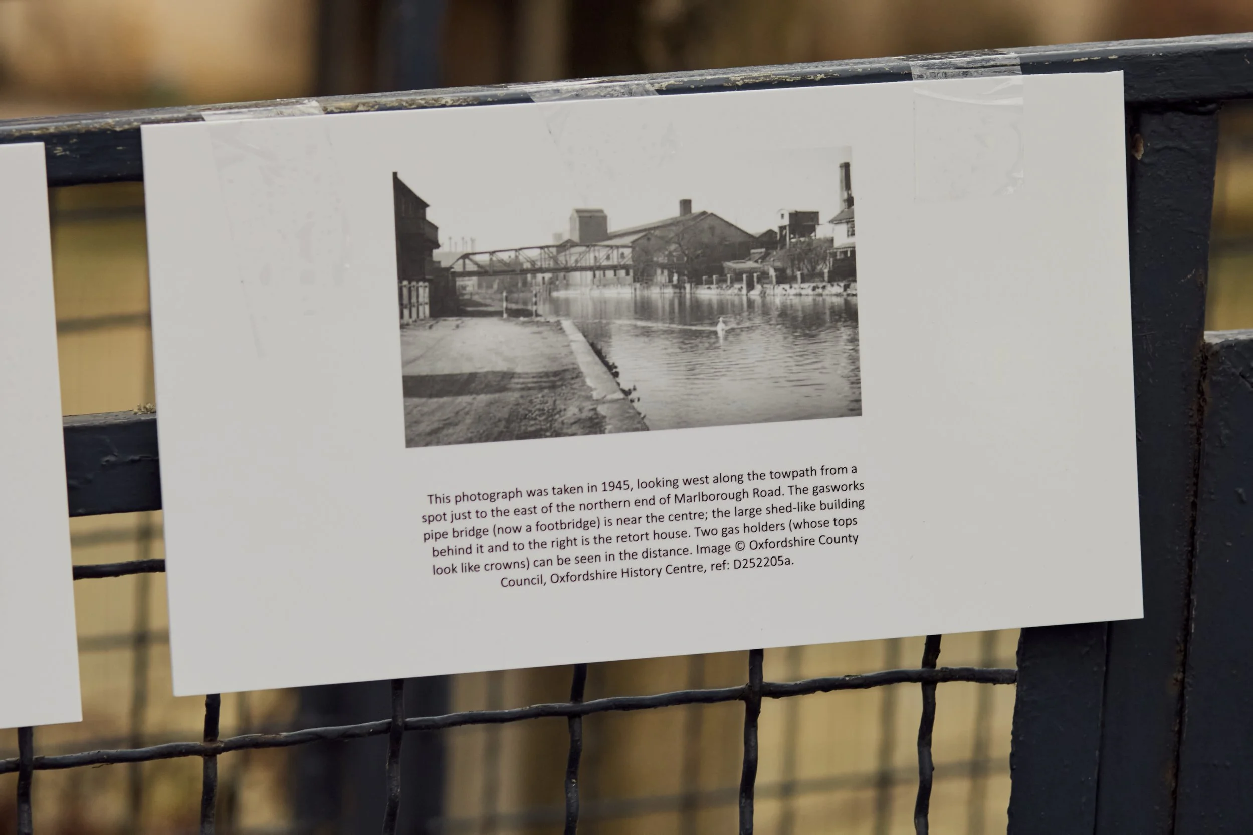 1 February 2025 at 16:22IMG_3370Feb 01 2025.jpg