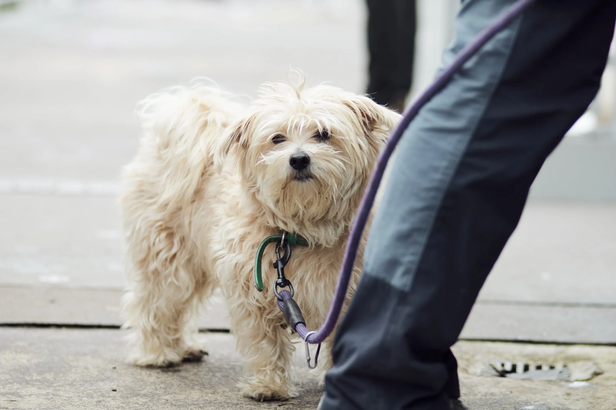 1 February 2025 at 16:22IMG_3298Feb 01 2025.jpg