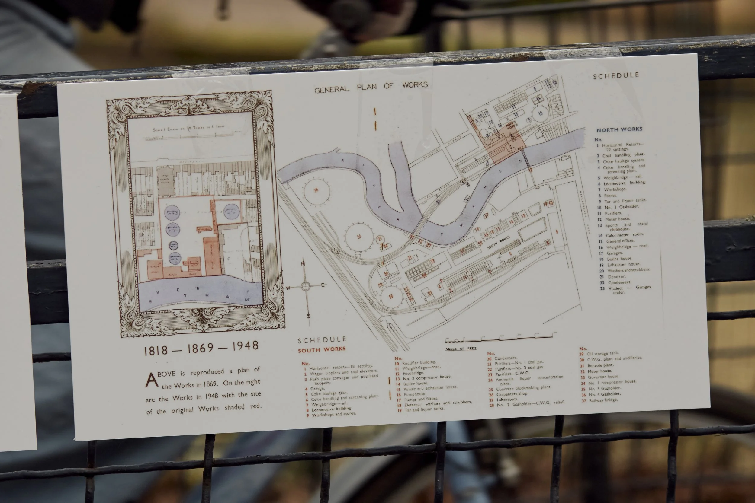 1 February 2025 at 16:22IMG_3369Feb 01 2025.jpg