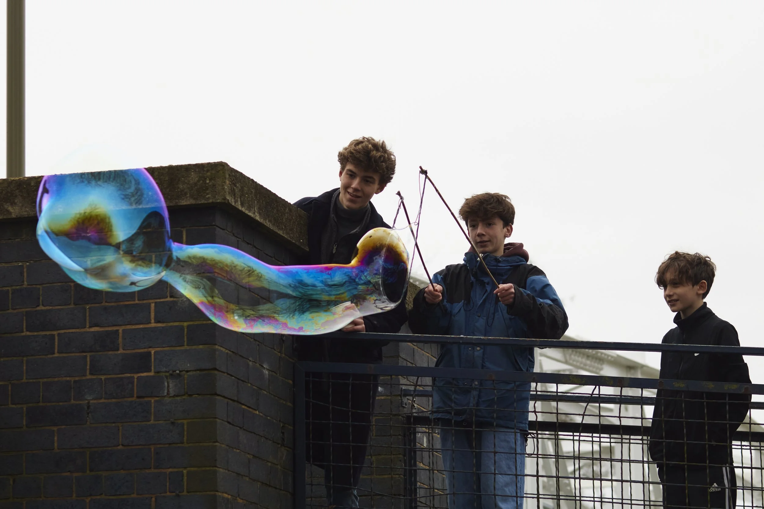 1 February 2025 at 16:22IMG_3283Feb 01 2025.jpg