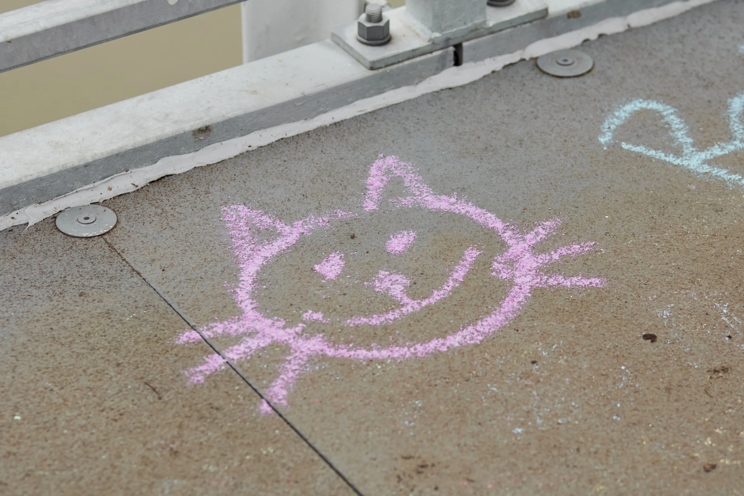 1 February 2025 at 16:22IMG_3317Feb 01 2025.jpg