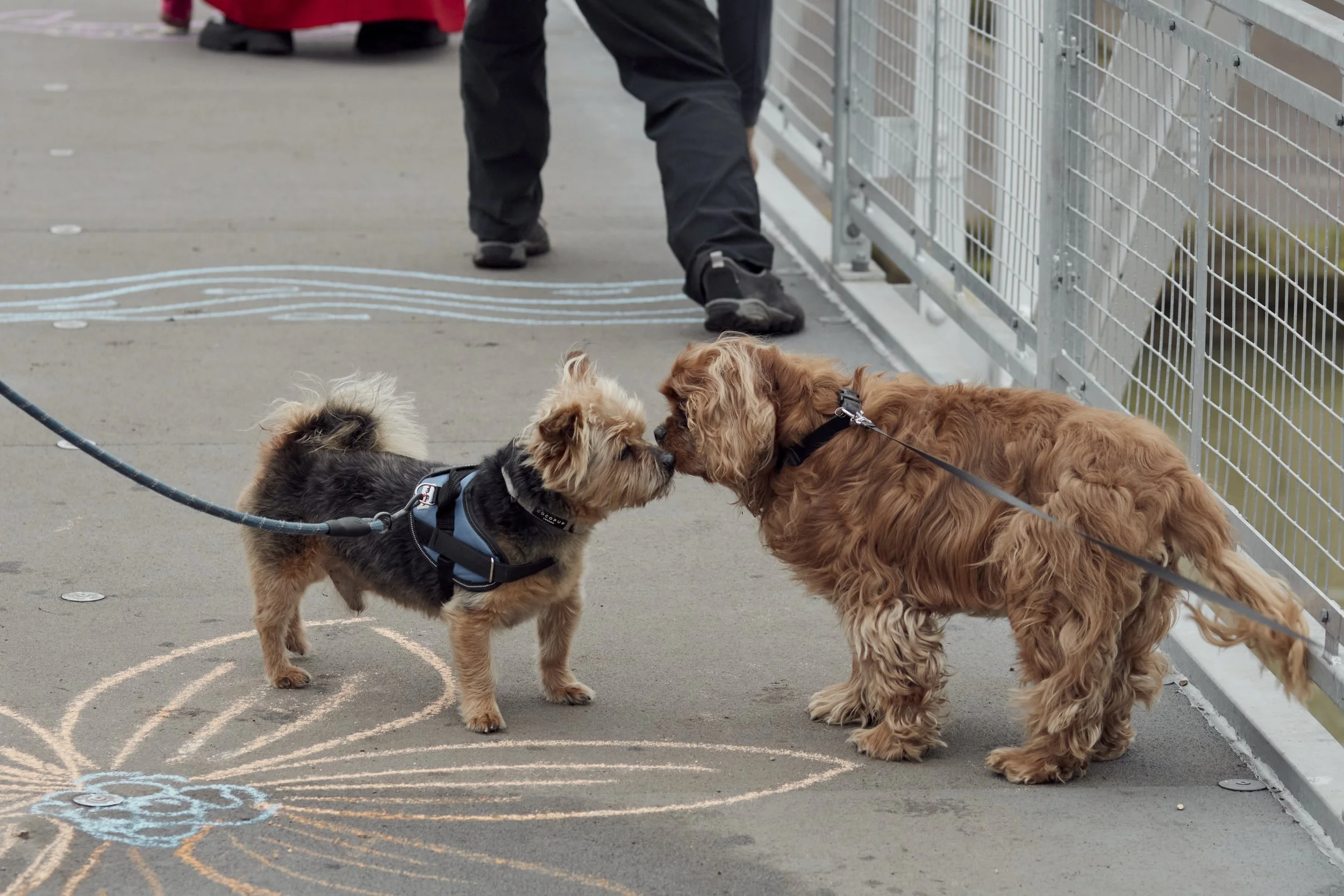 1 February 2025 at 16:22IMG_3101Feb 01 2025.jpg