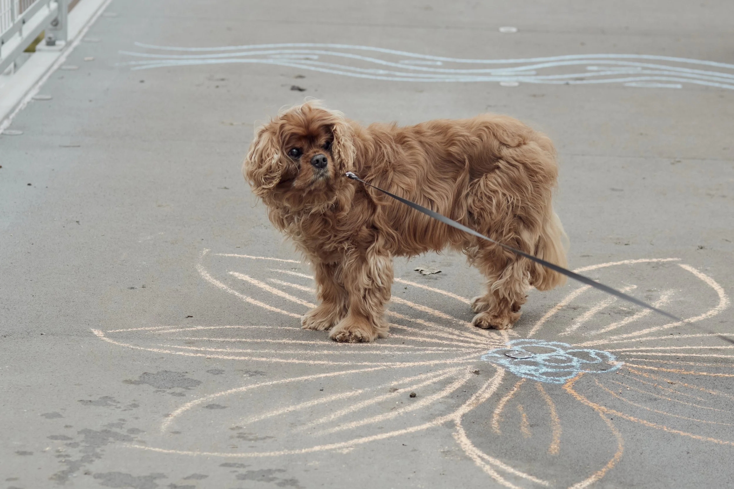 1 February 2025 at 16:22IMG_3105Feb 01 2025.jpg