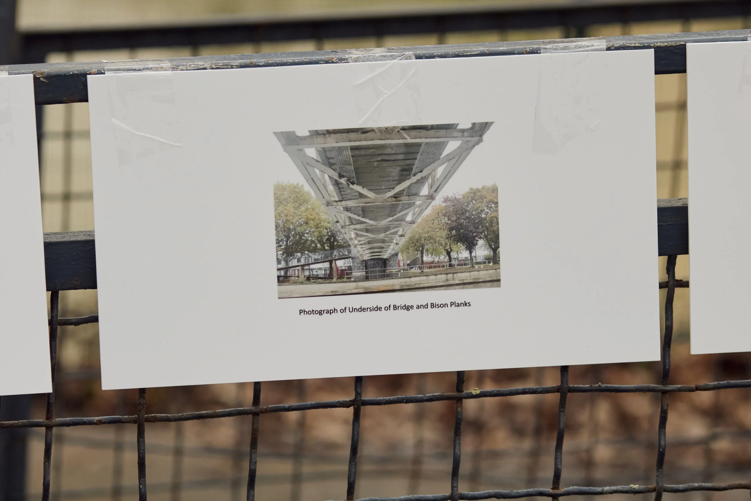 1 February 2025 at 16:22IMG_3367Feb 01 2025.jpg