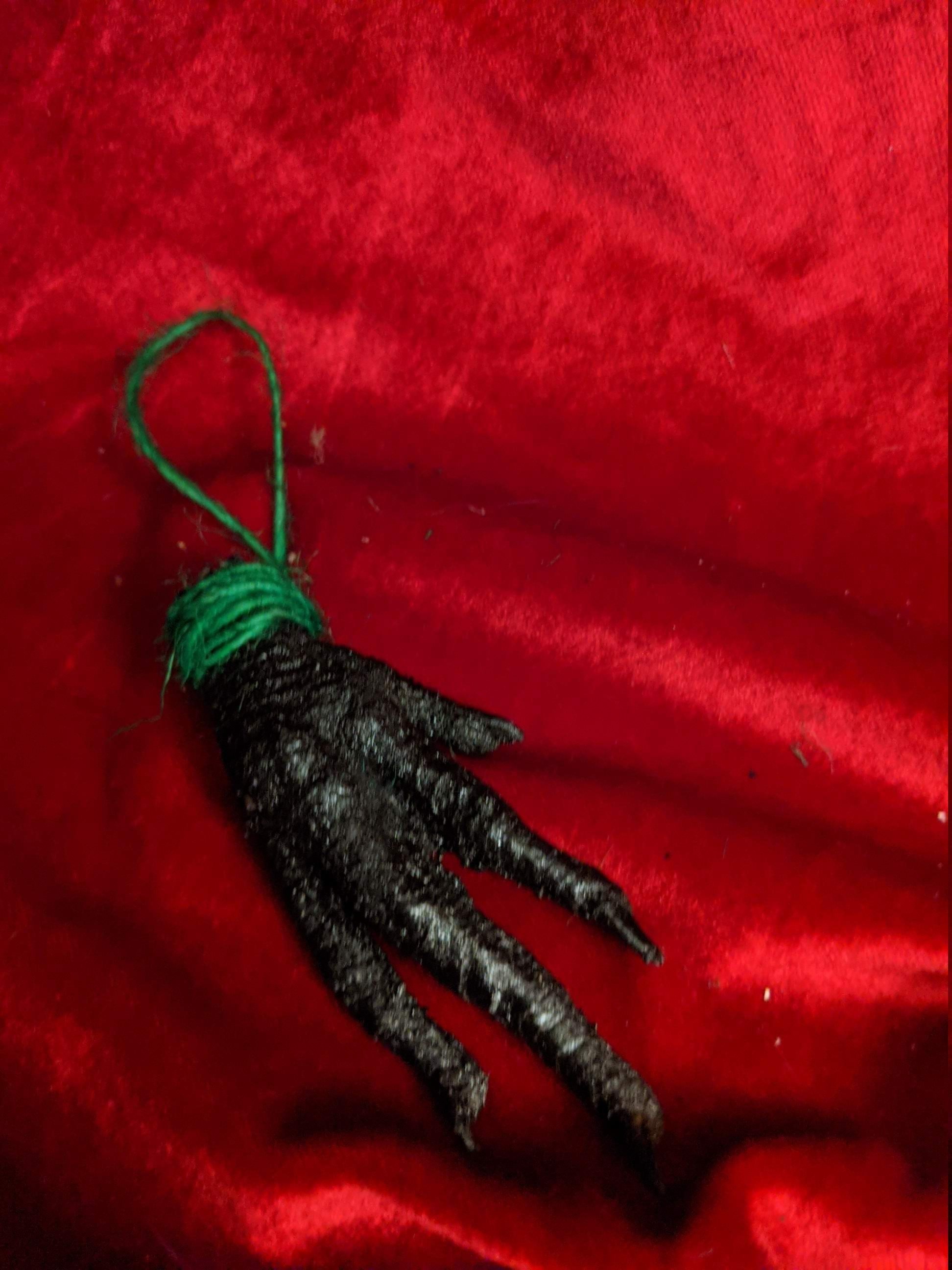 https://i.etsystatic.com/20859394/r/il/2429b1/2091209424/il_fullxfull.2091209424_k8h9.jpg