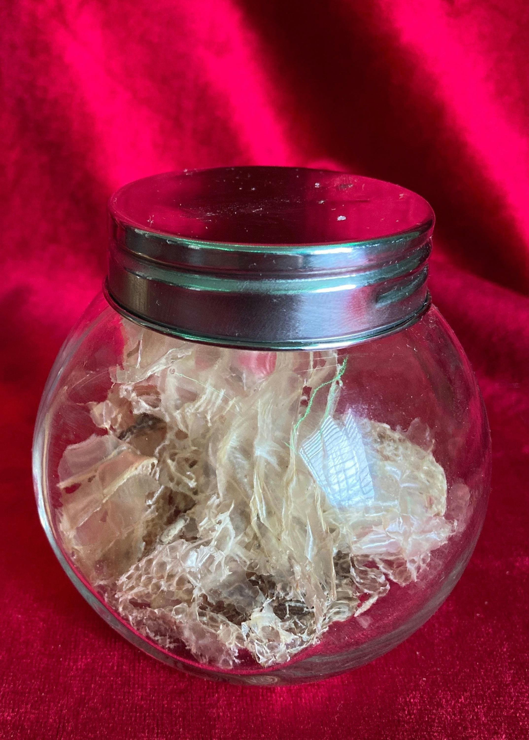https://i.etsystatic.com/20859394/r/il/f235fd/6170566802/il_fullxfull.6170566802_gl17.jpg