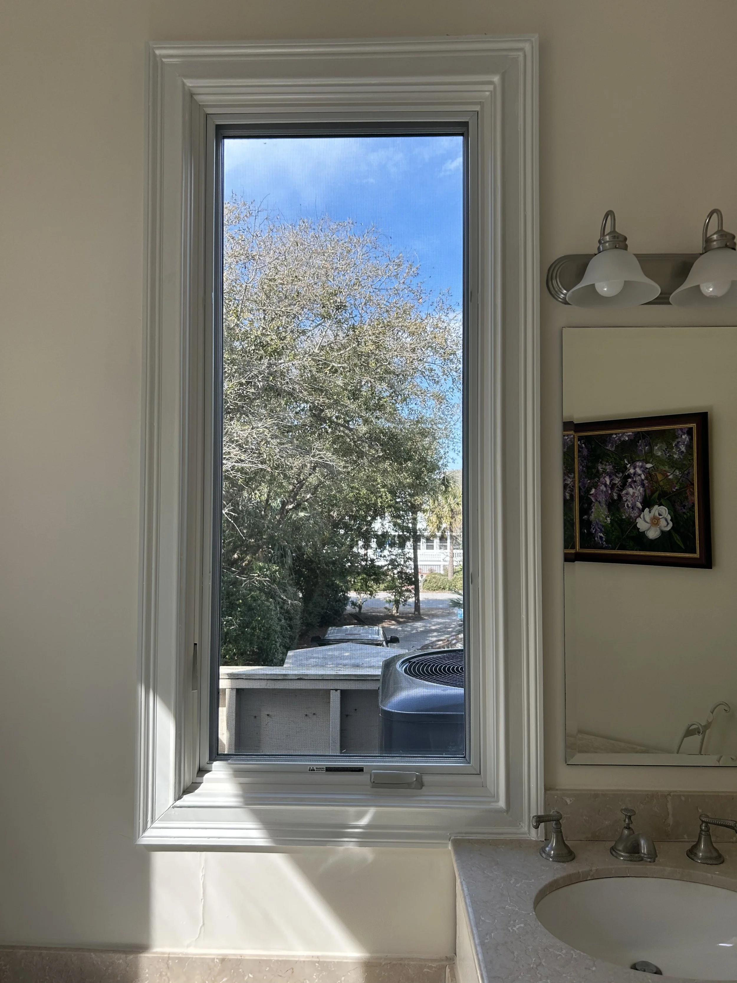 IMG_4353.jpeg