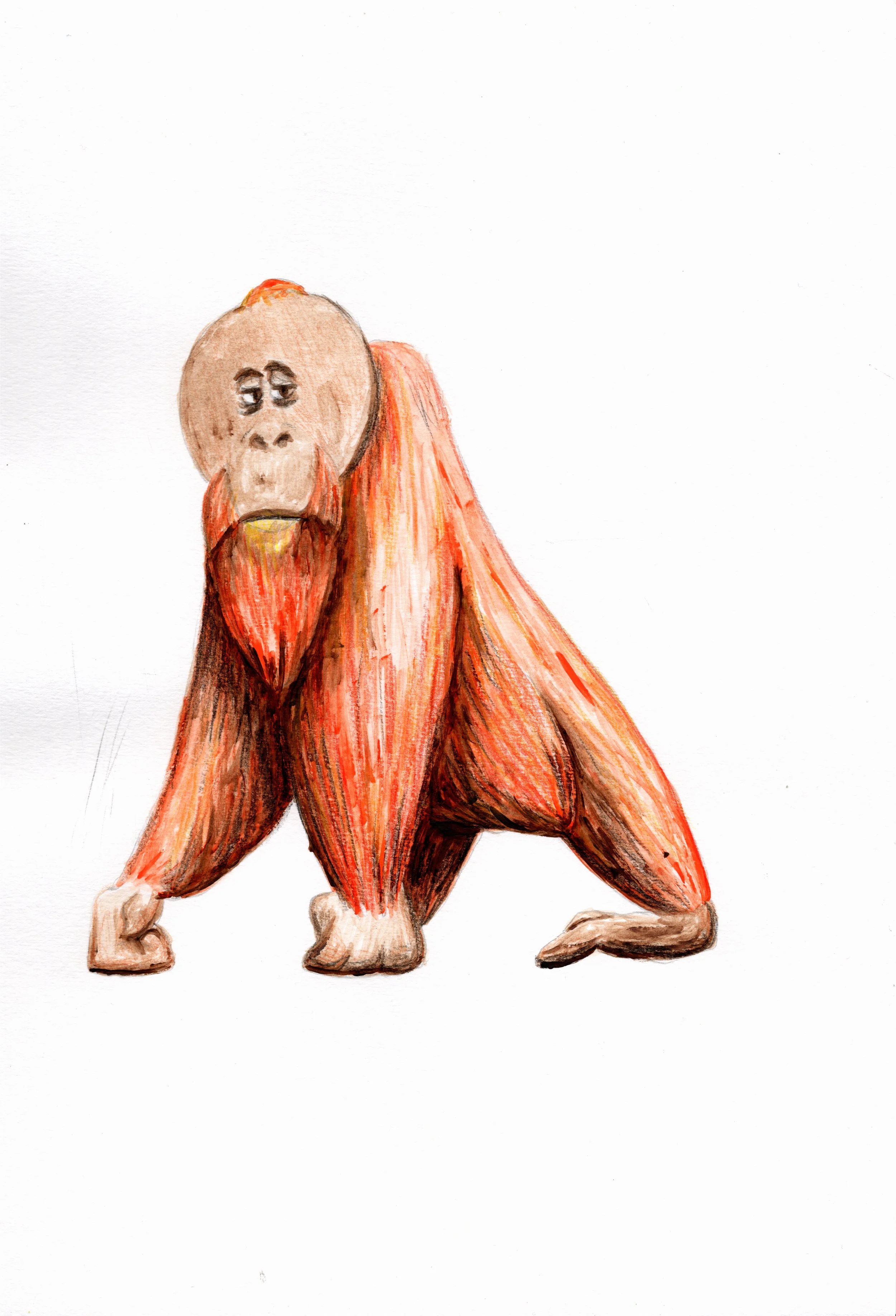 BG_0005.jpg