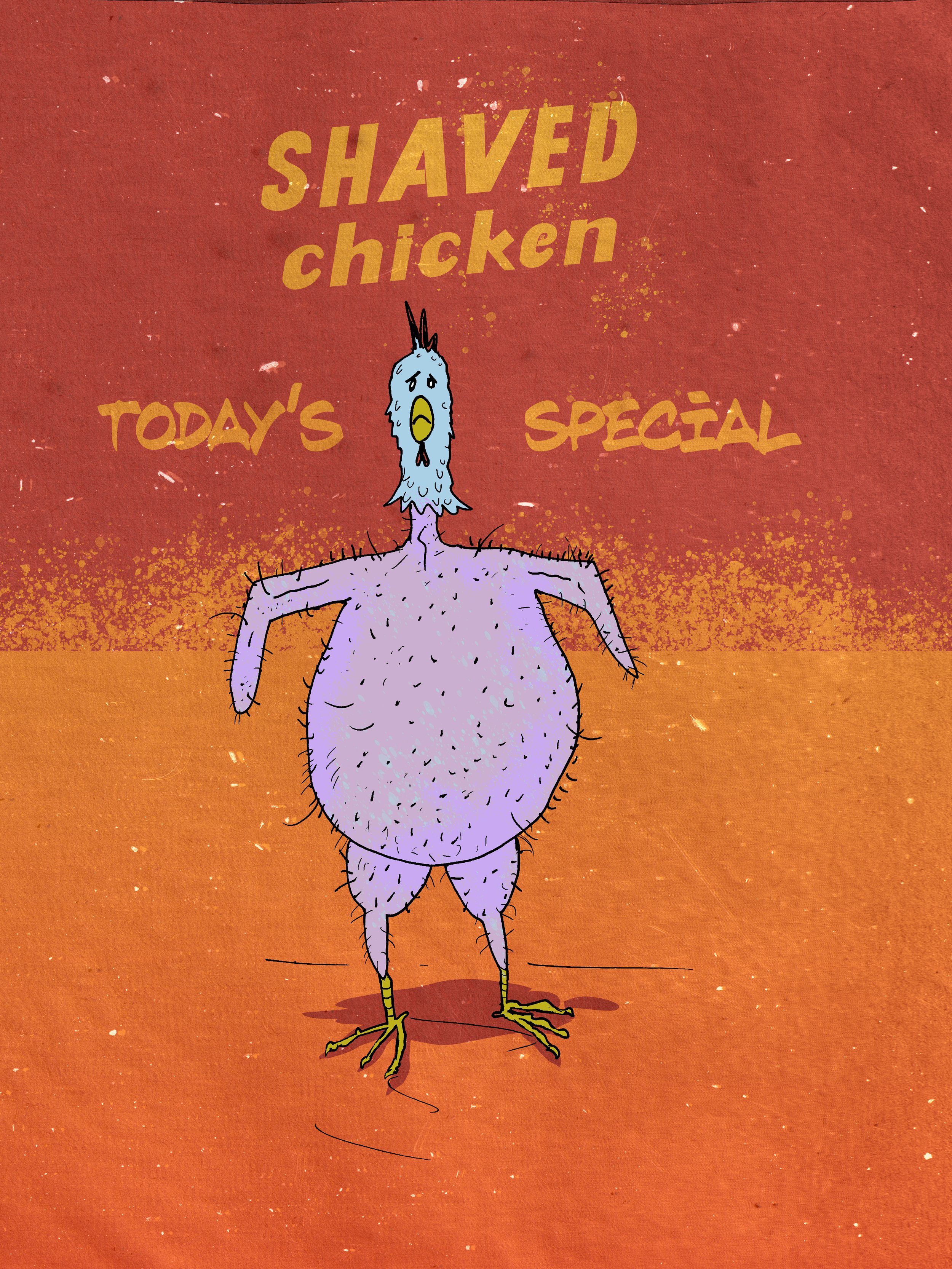 shavedchicken copy.jpg