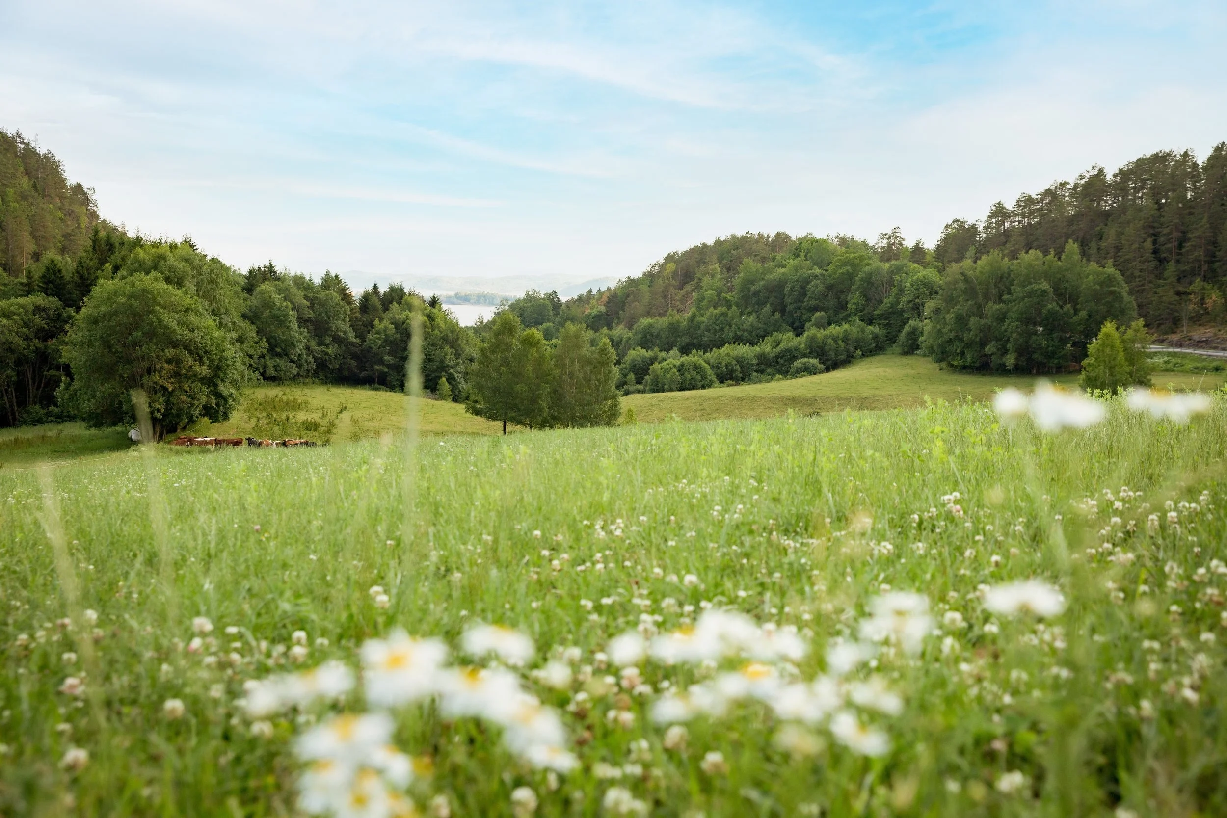 Østfold, Norway