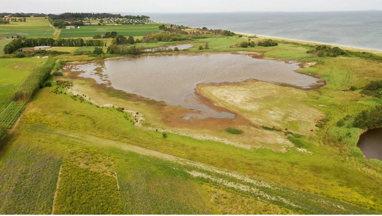 Flooded green field by the sea